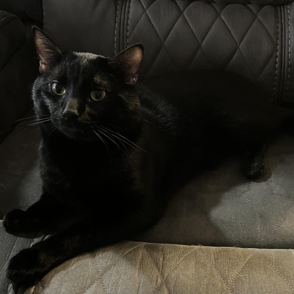 Klem — thumbnail 2