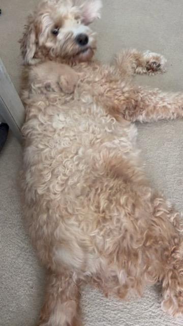 LUCY photo 2