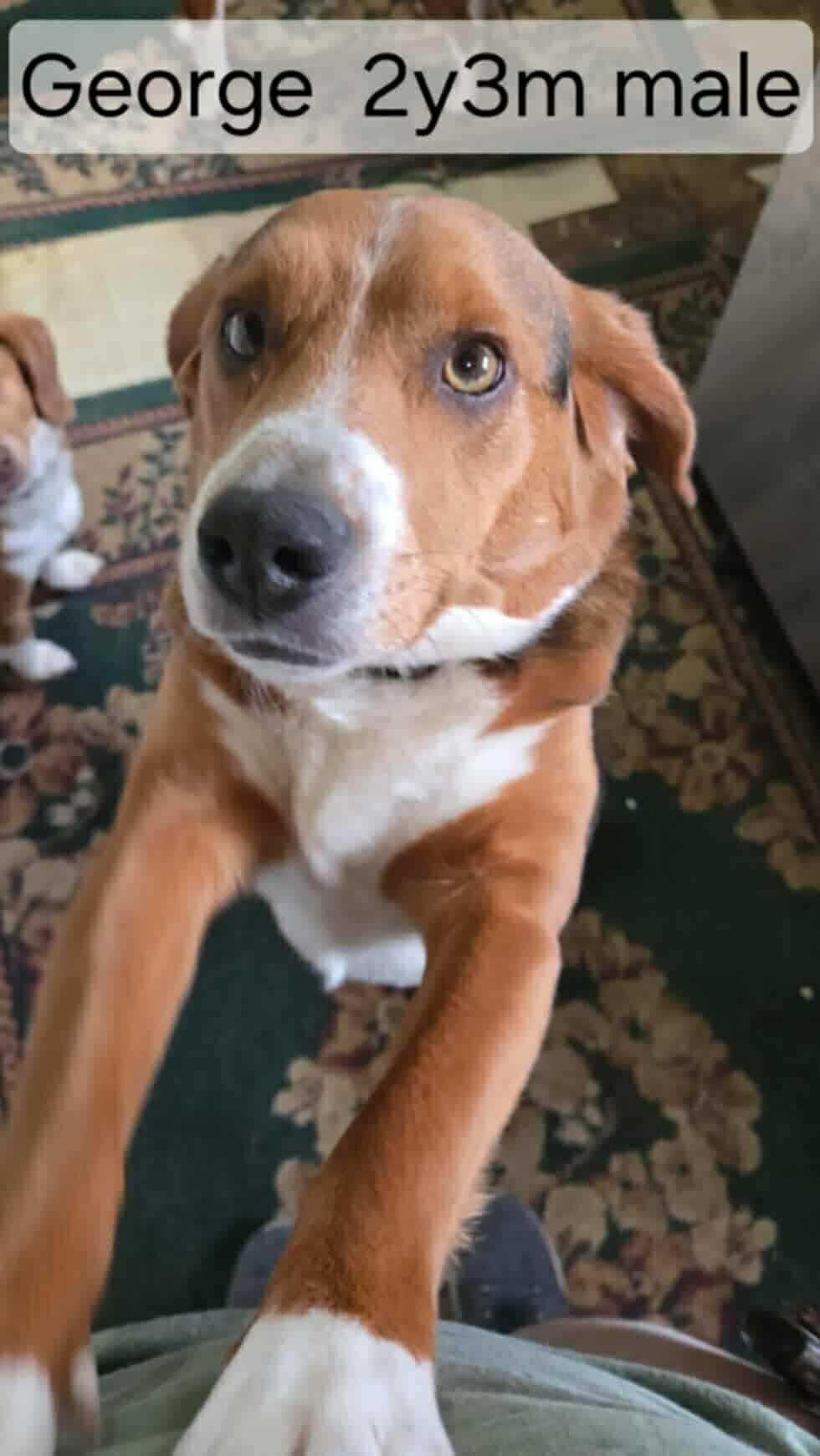 George
