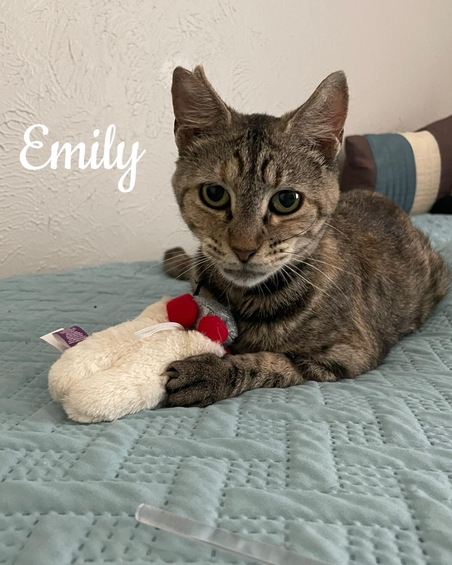 Emily — thumbnail 2