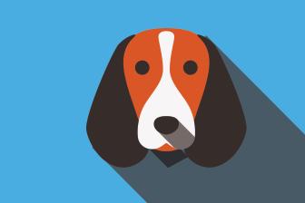 Enlarge Tuxedo, a Adopted Retriever in Windsor, CA image 1/1