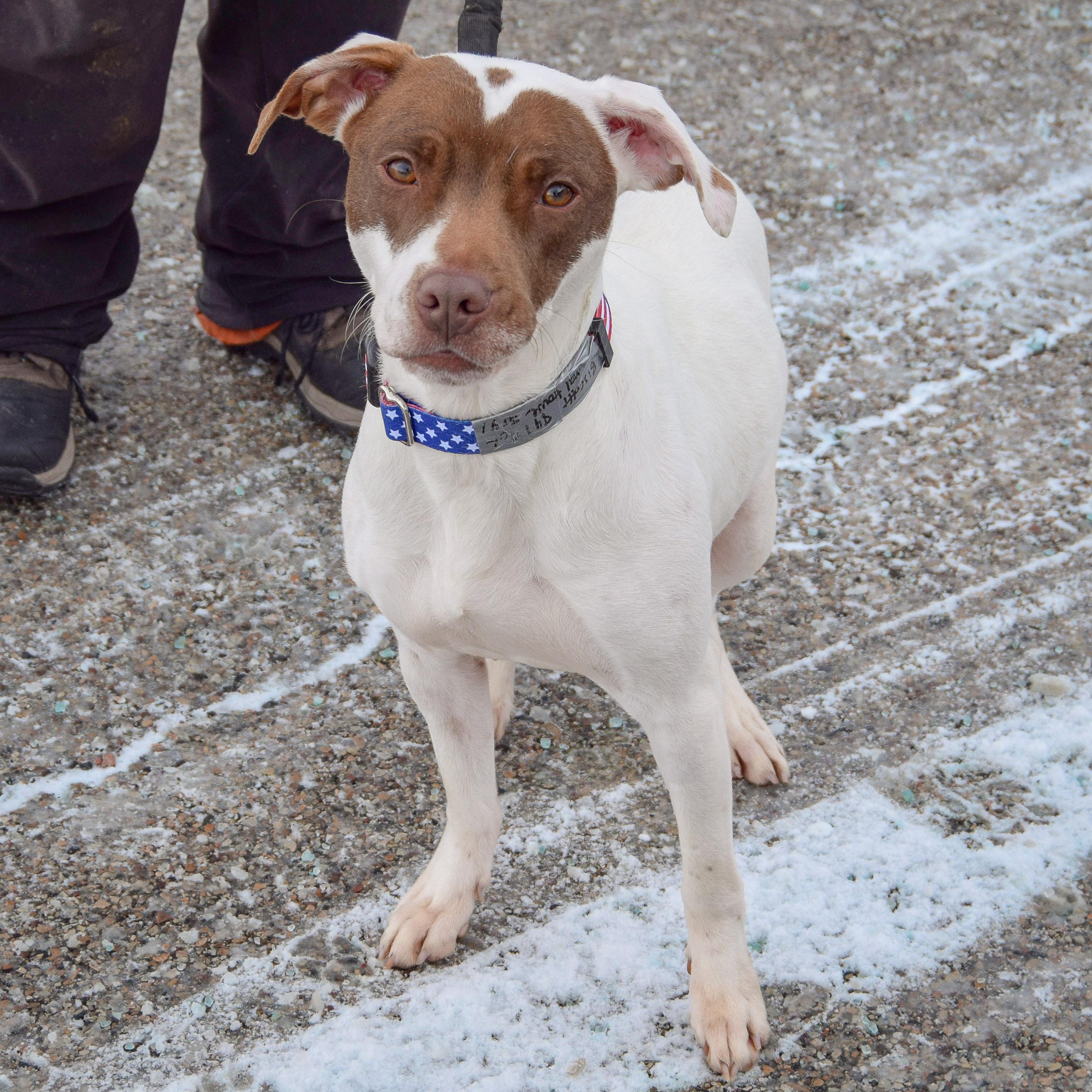 Biscotti thumbnail 2