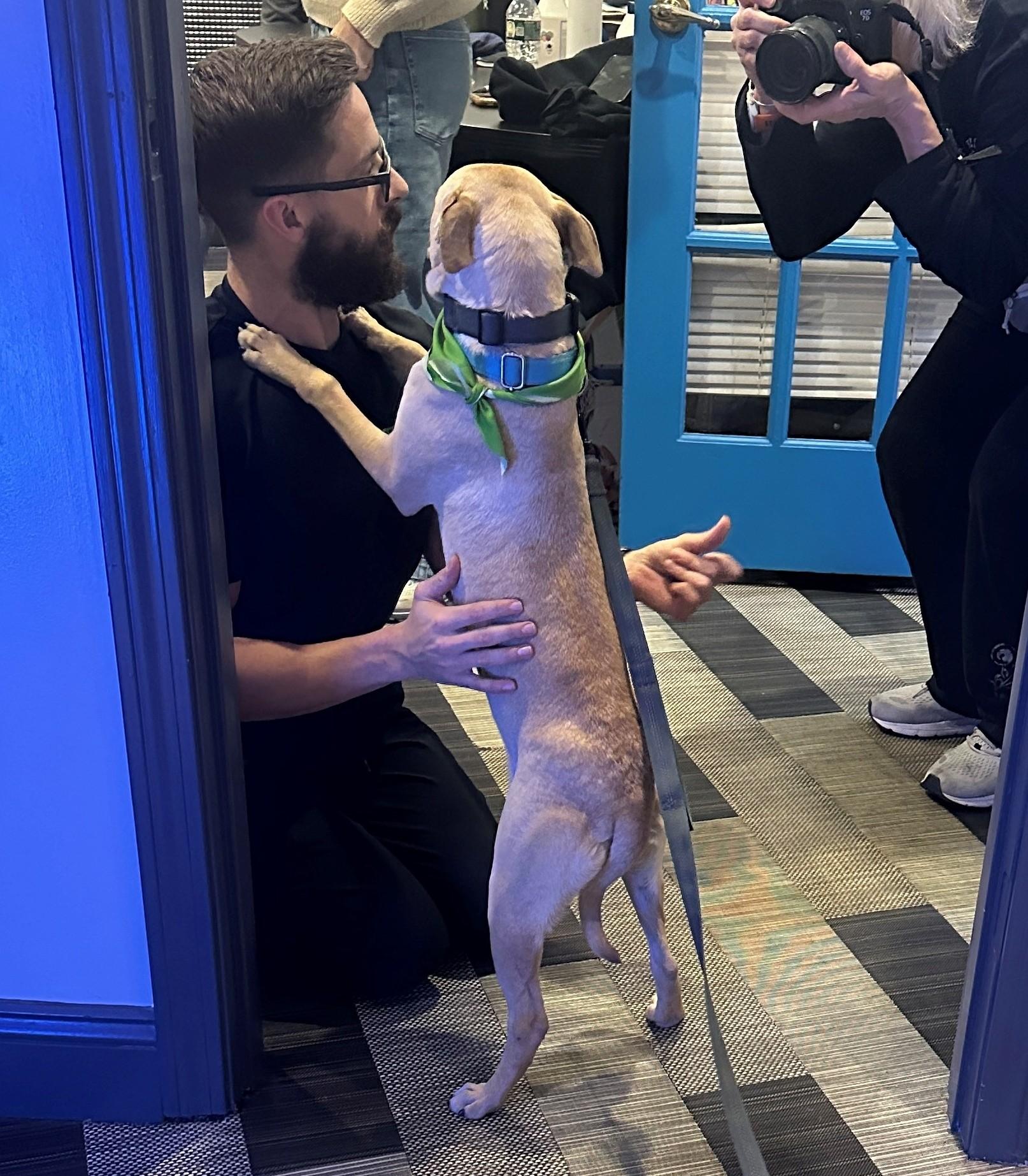 Pixie Moon thumbnail 4