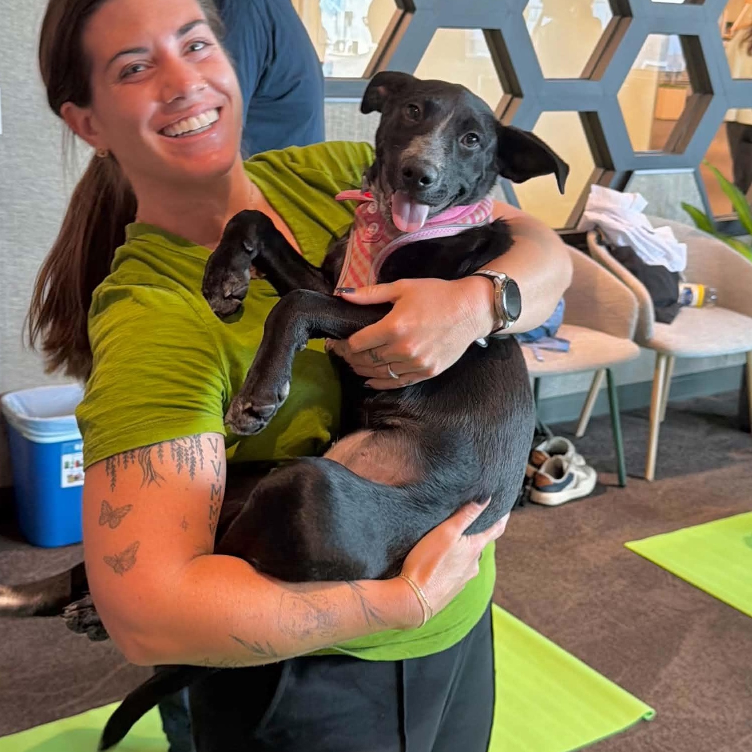 Enlarge Dixie, a Adoptable mixed breed in Boulder, CO image 3/6