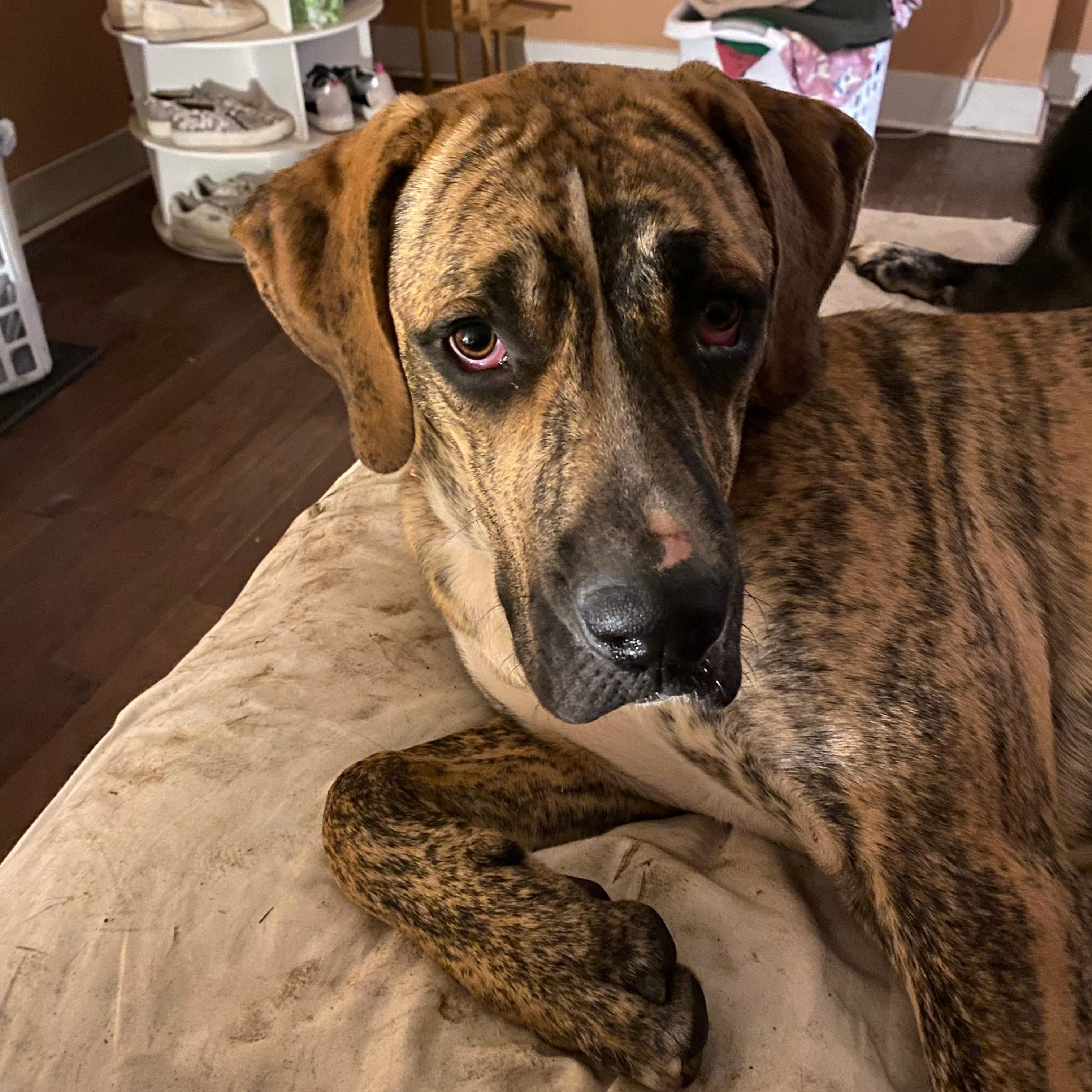 Duke Wayne — thumbnail 2