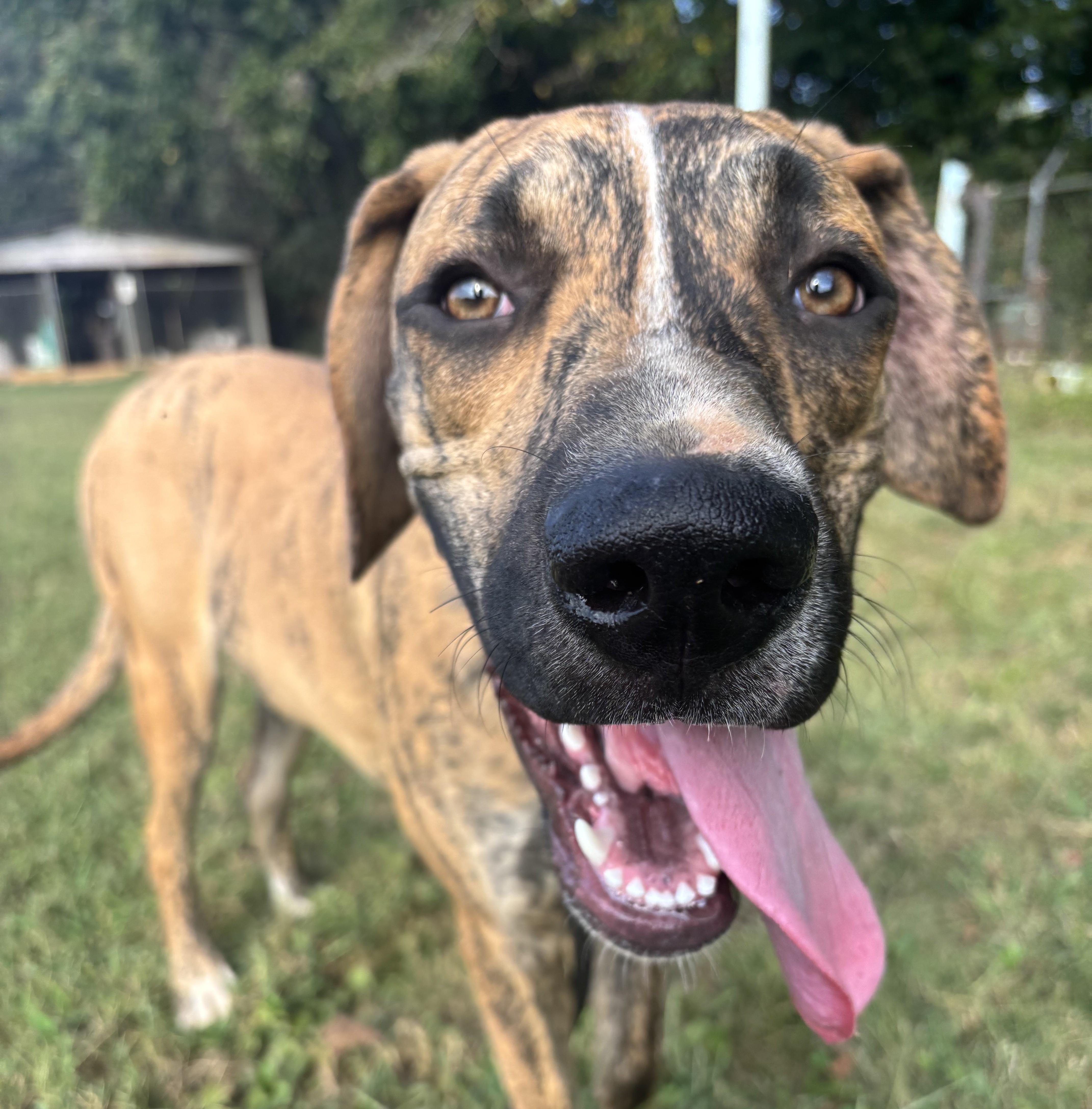 Duke Wayne — thumbnail 3