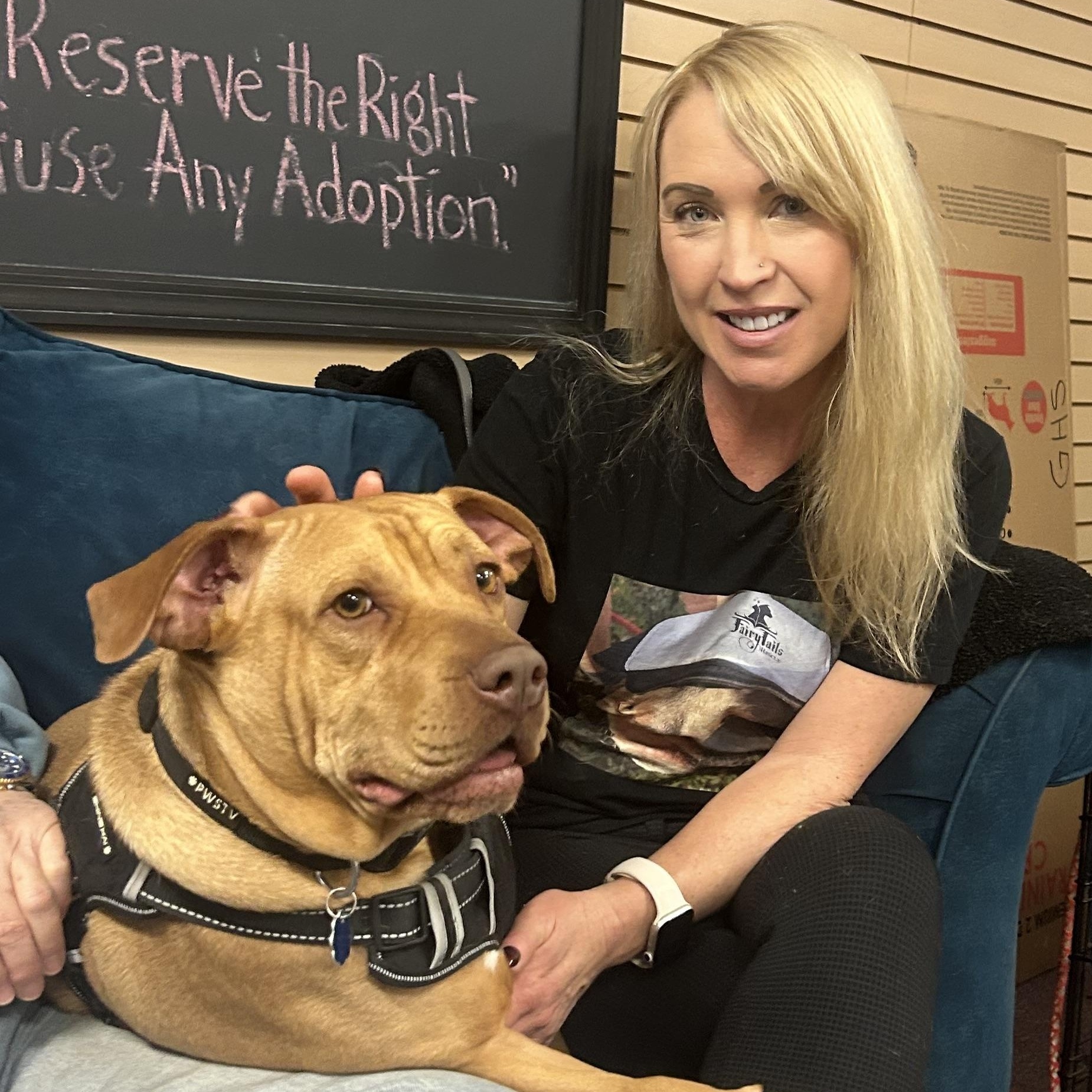 Enlarge Josie, a Adoptable mixed breed in Lilburn, GA image 4/6