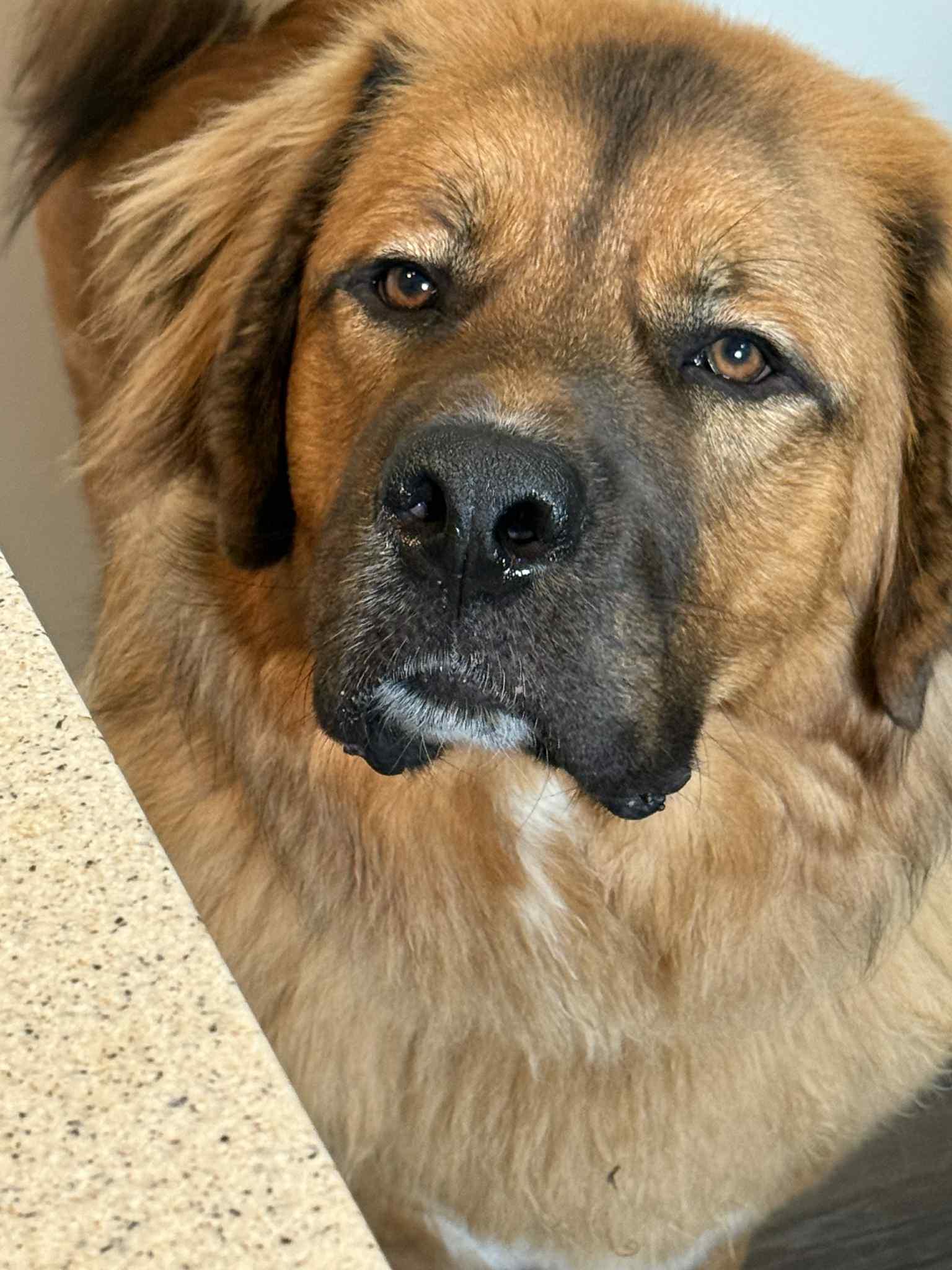 Dug