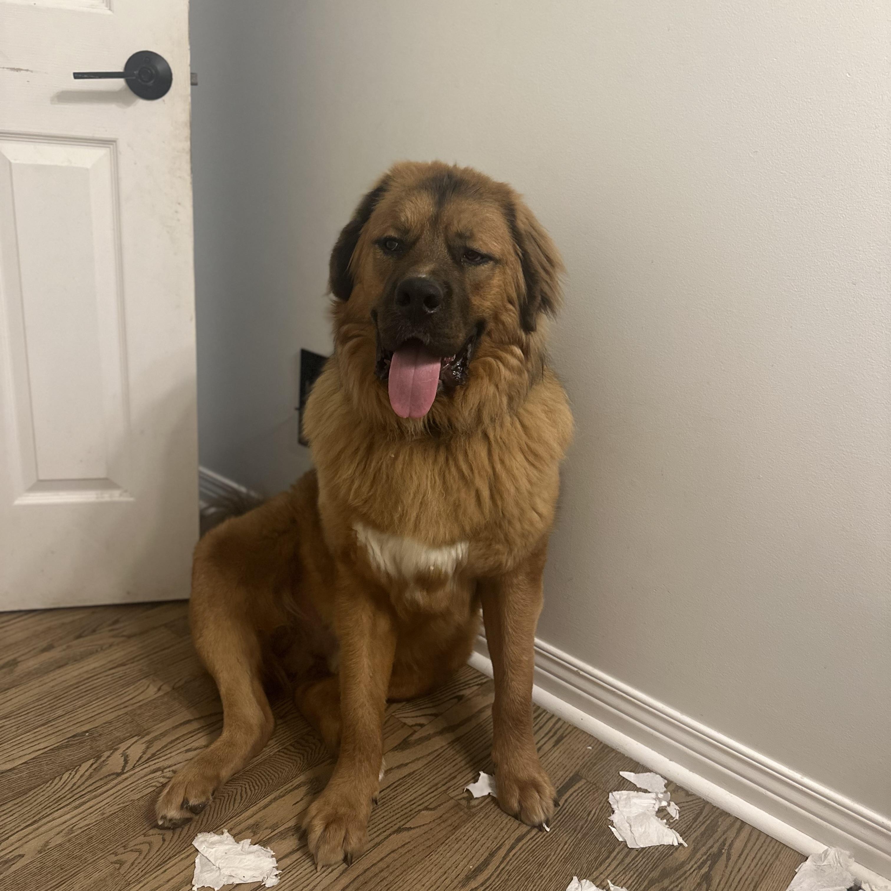 Dug