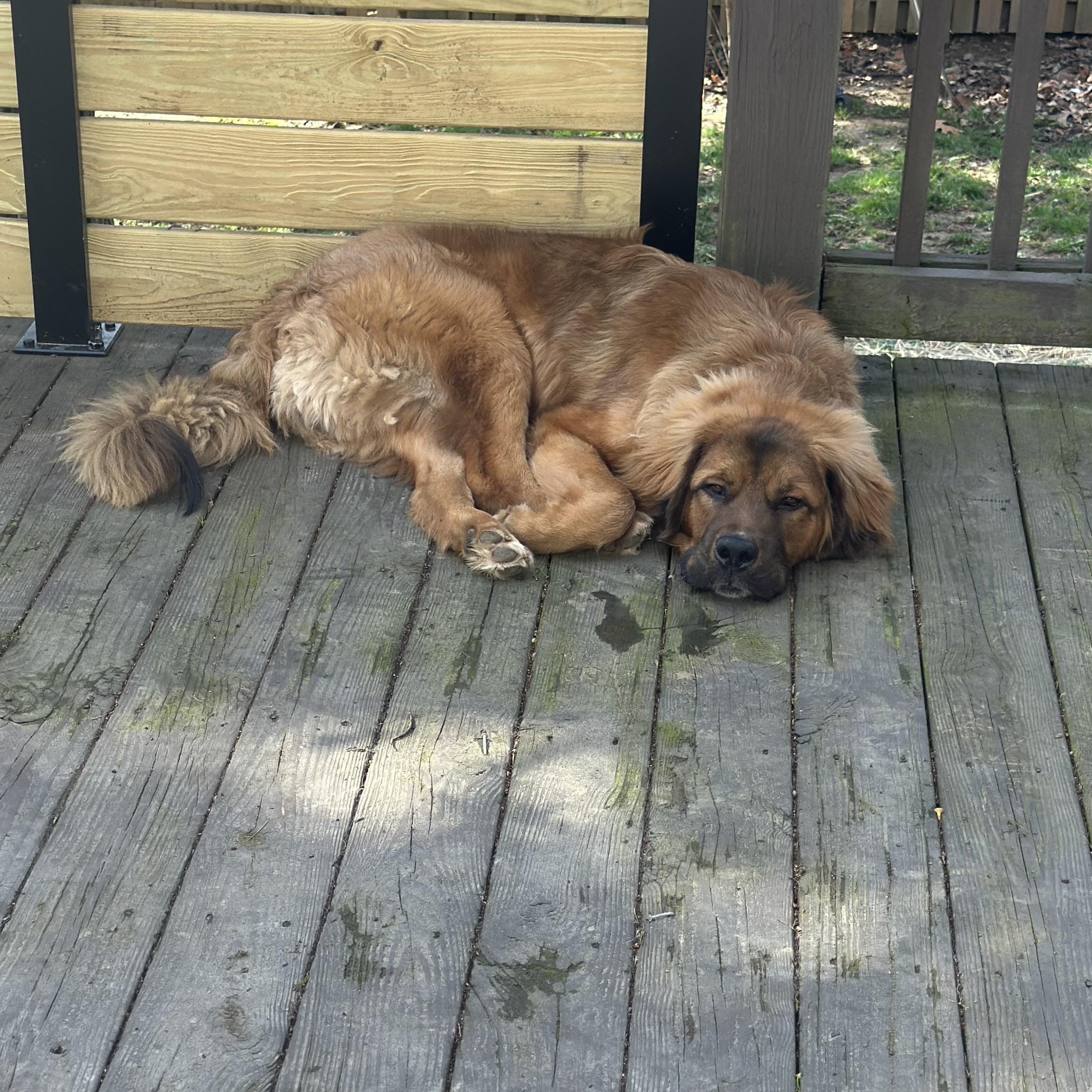 Dug