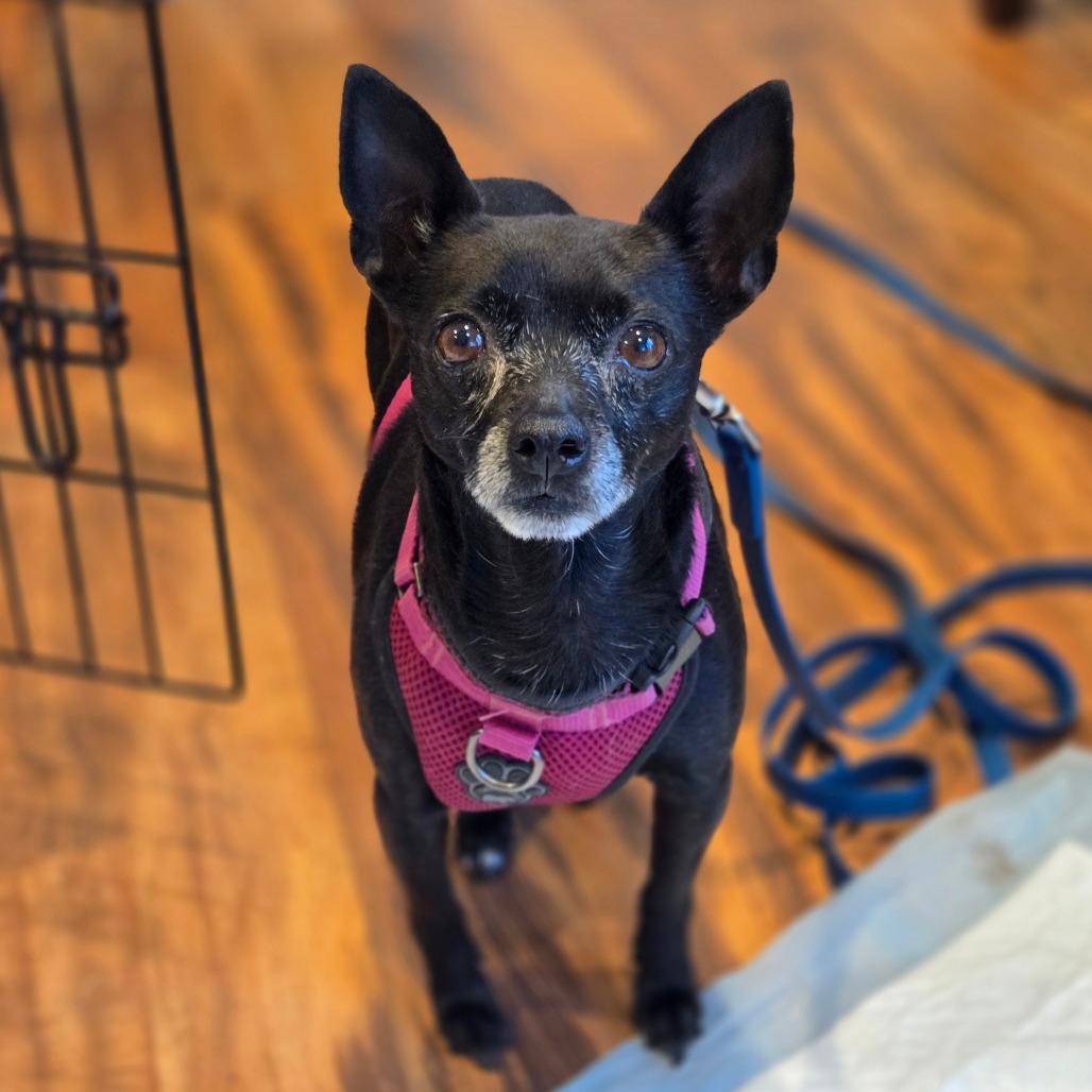 Ozzie Anna — thumbnail 3