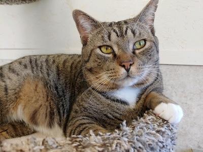 Boots — thumbnail 2