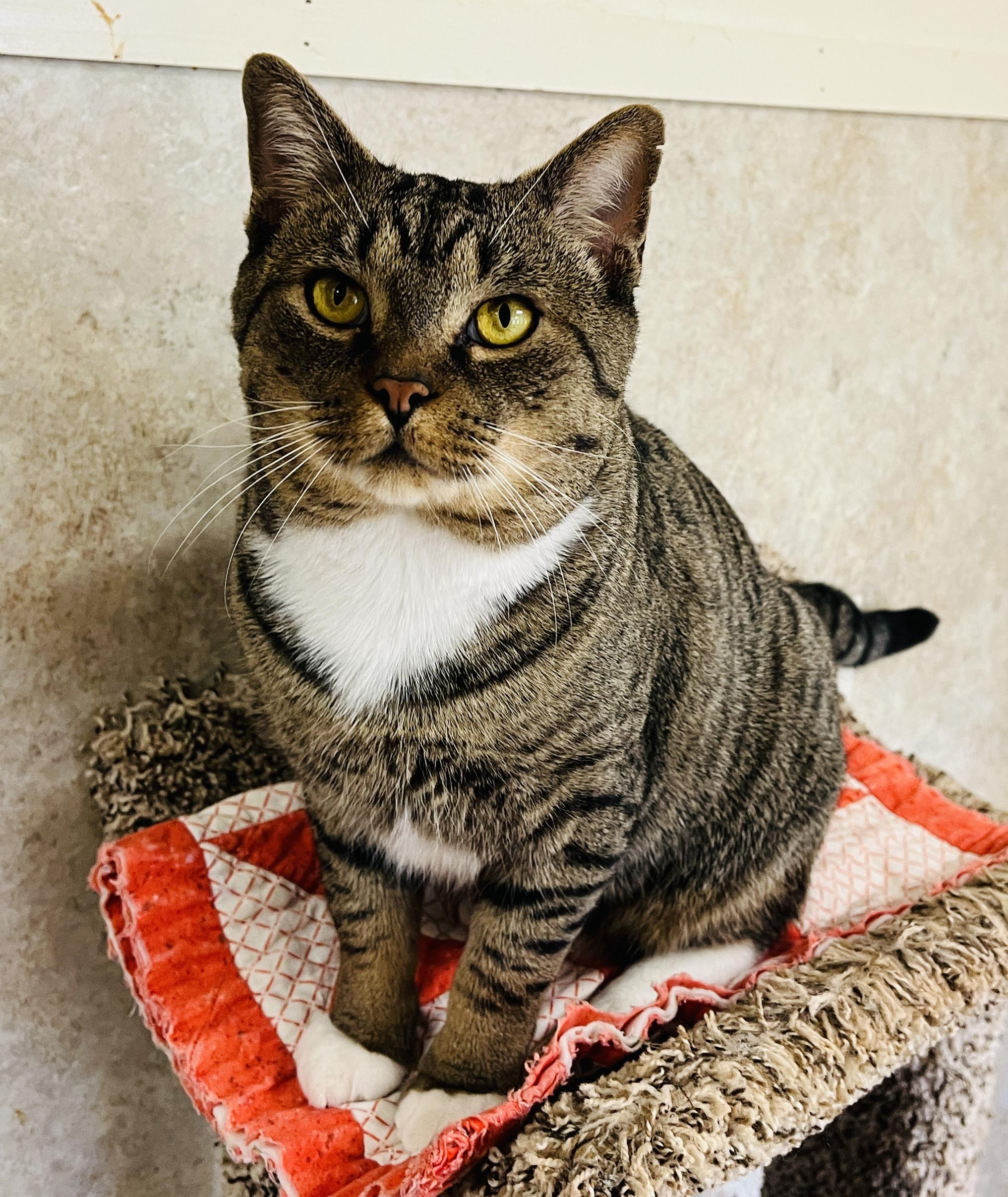 Boots — thumbnail 3