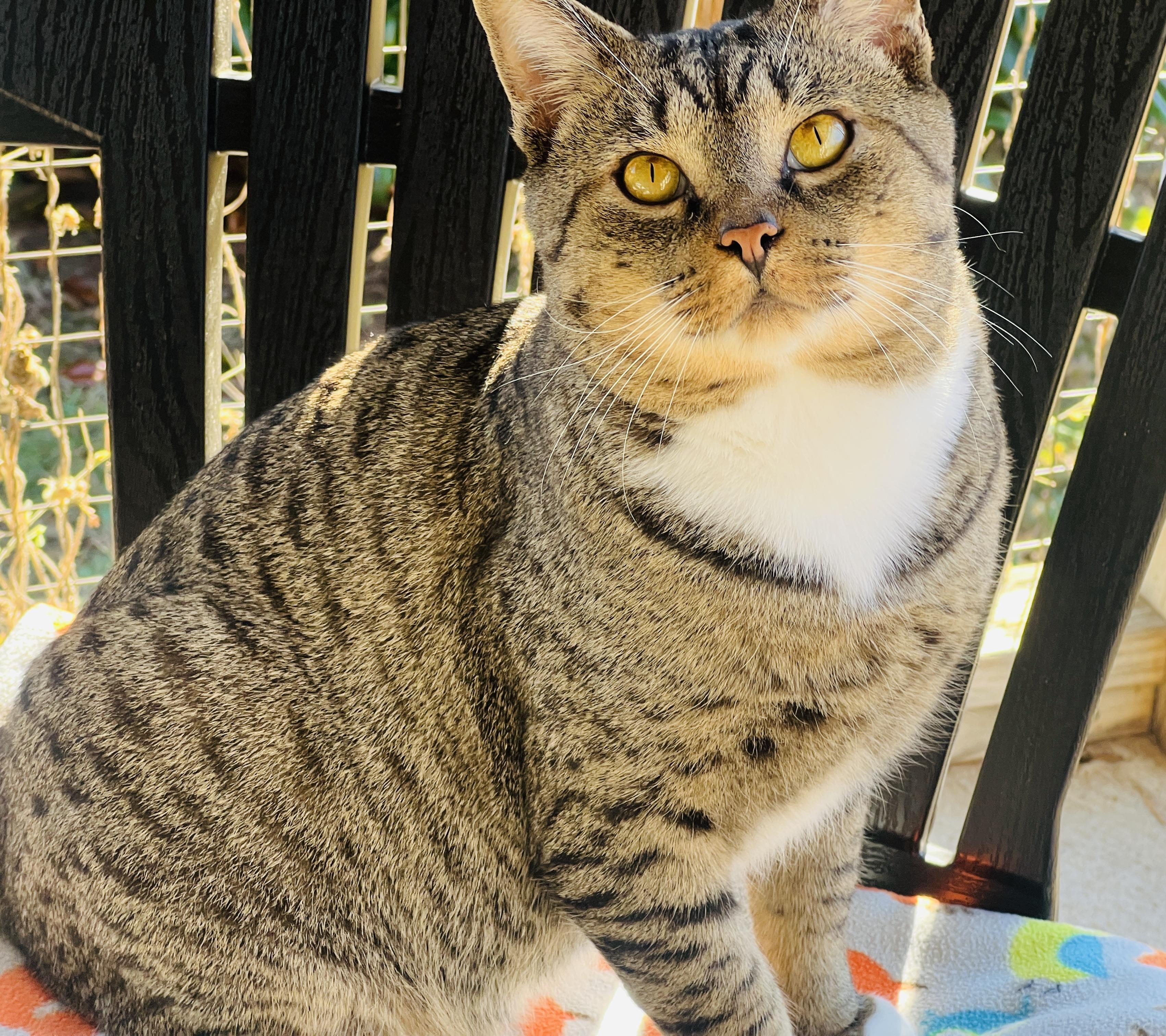 Boots — thumbnail 5