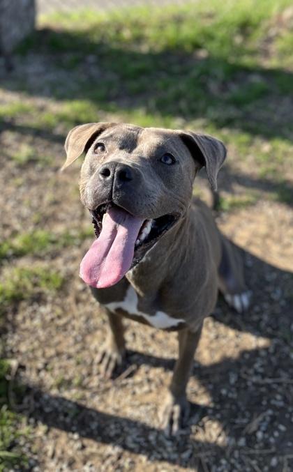 Luna — thumbnail 2