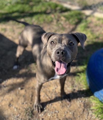 Luna — thumbnail 3