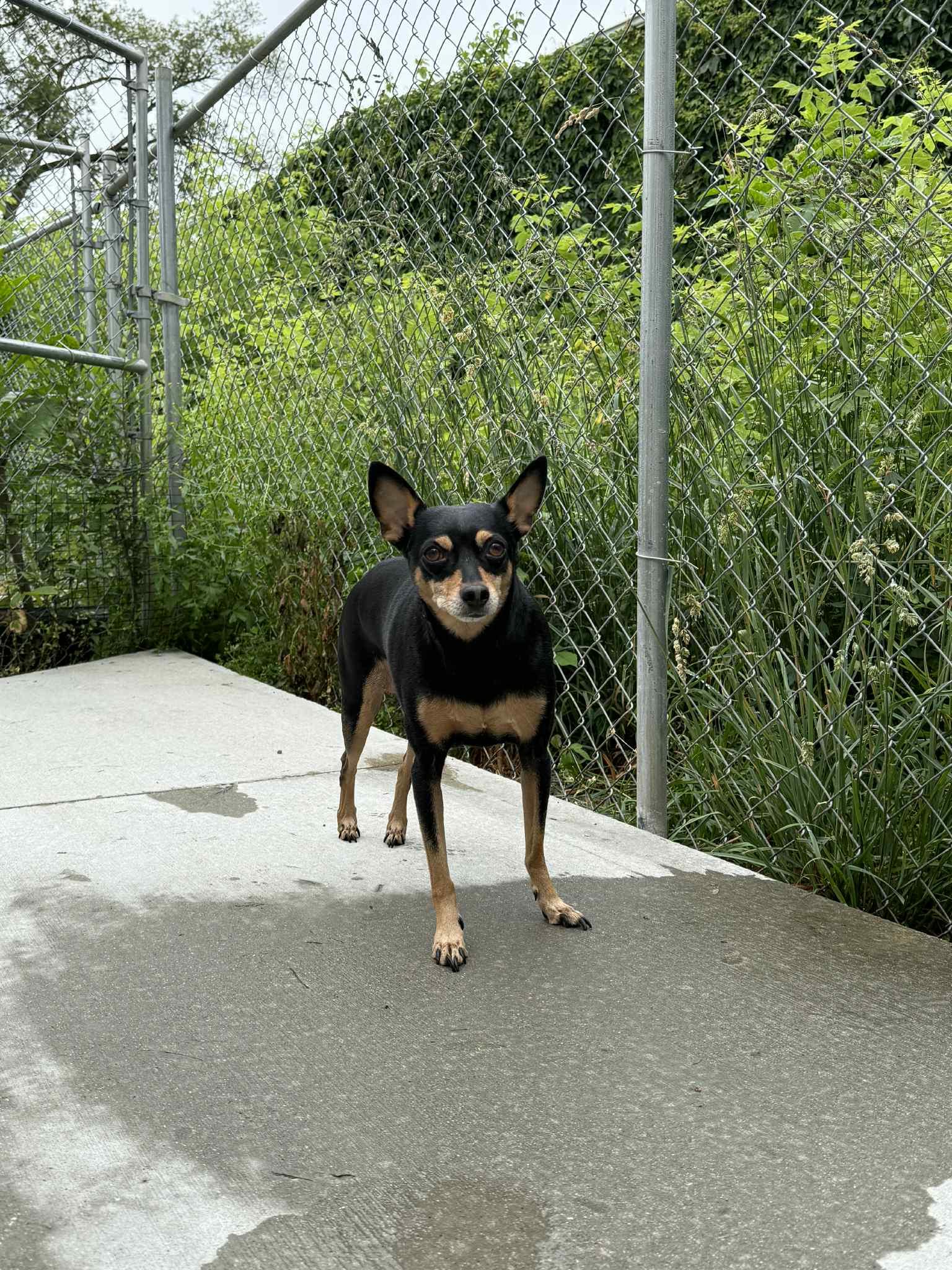 Cash - In Foster photo 4