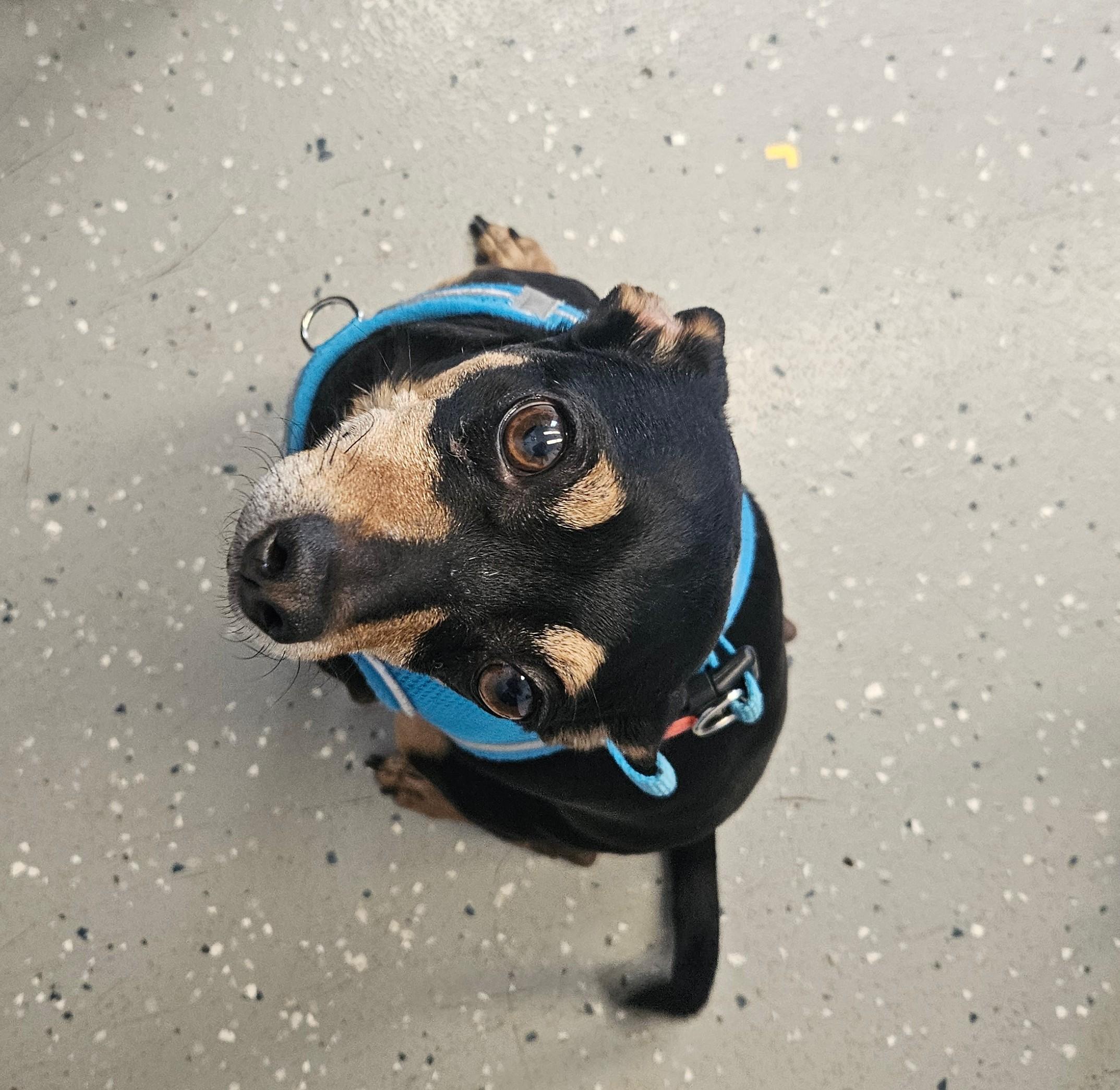 Cash - In Foster