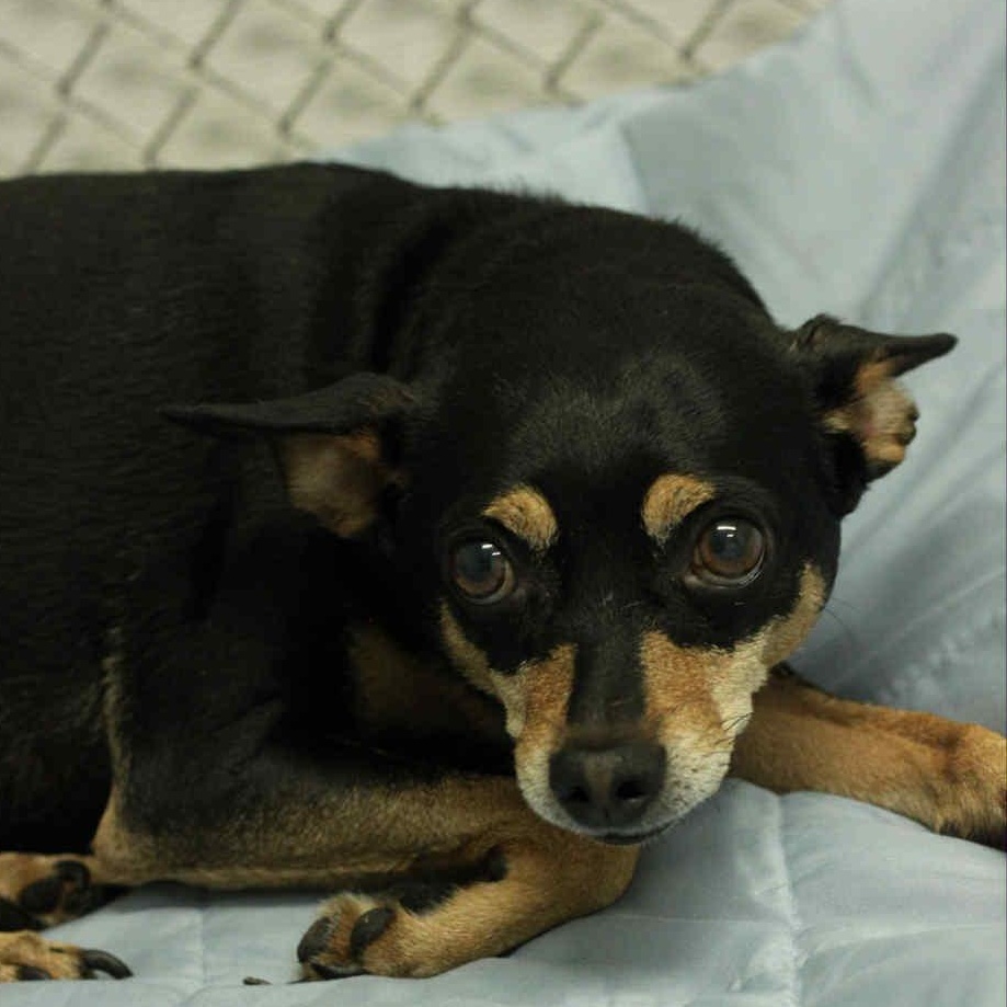 Cash - In Foster