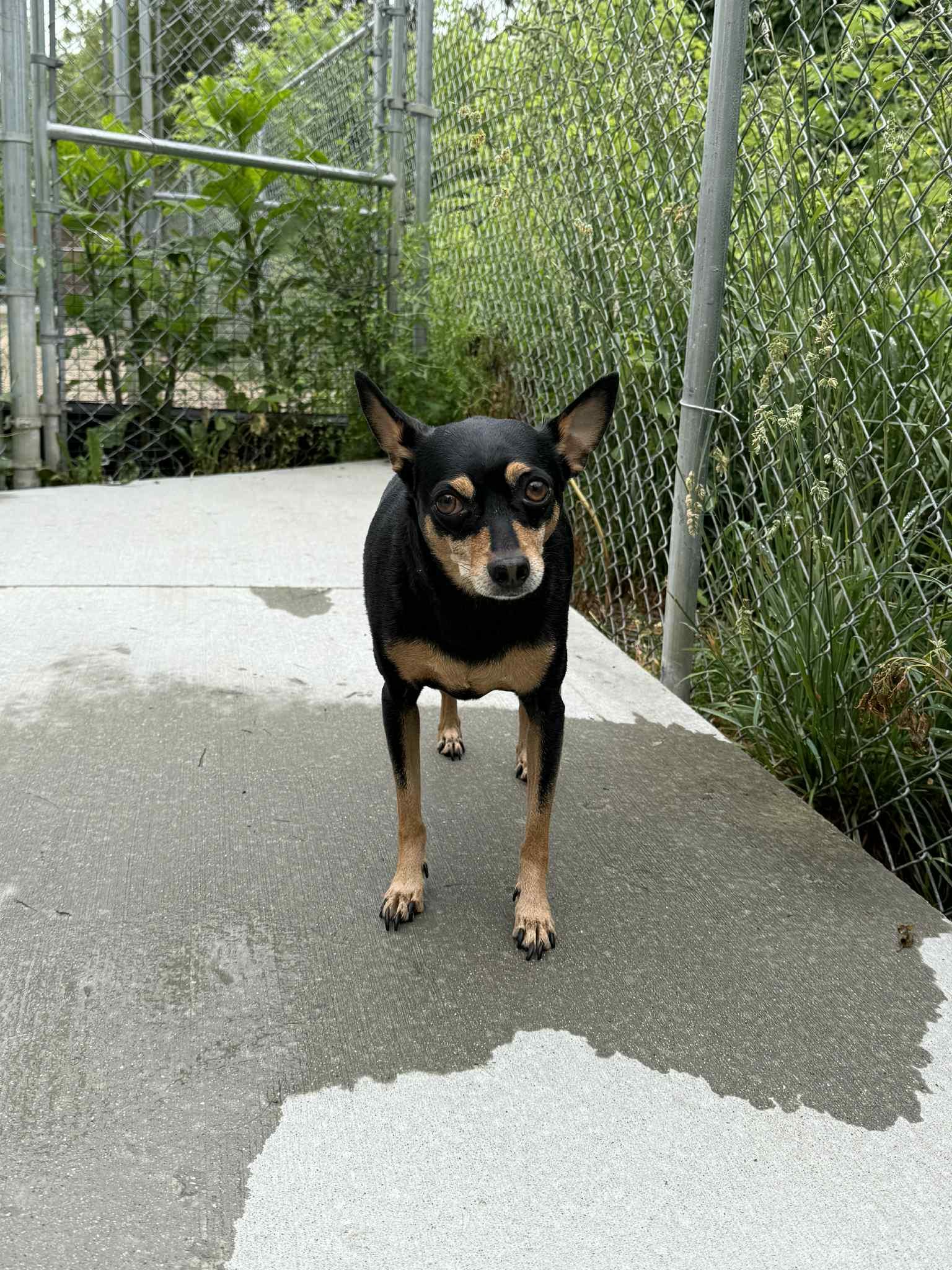 Cash - In Foster photo 3
