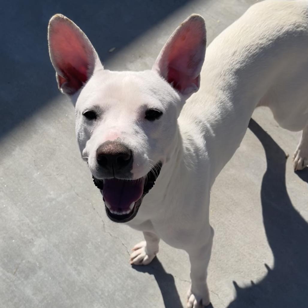 Olga — thumbnail 2