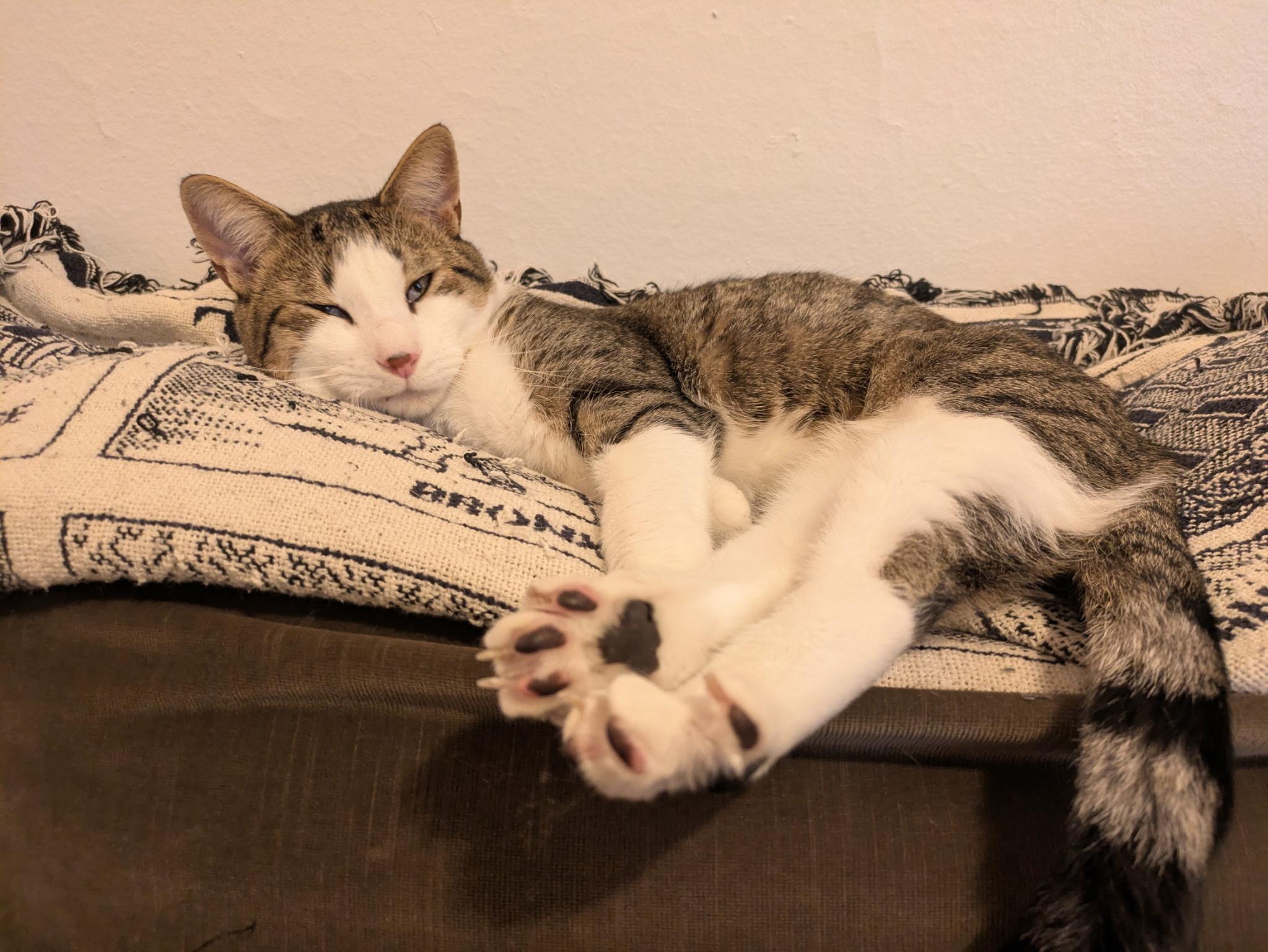 Manny N ~~ Cuddle King