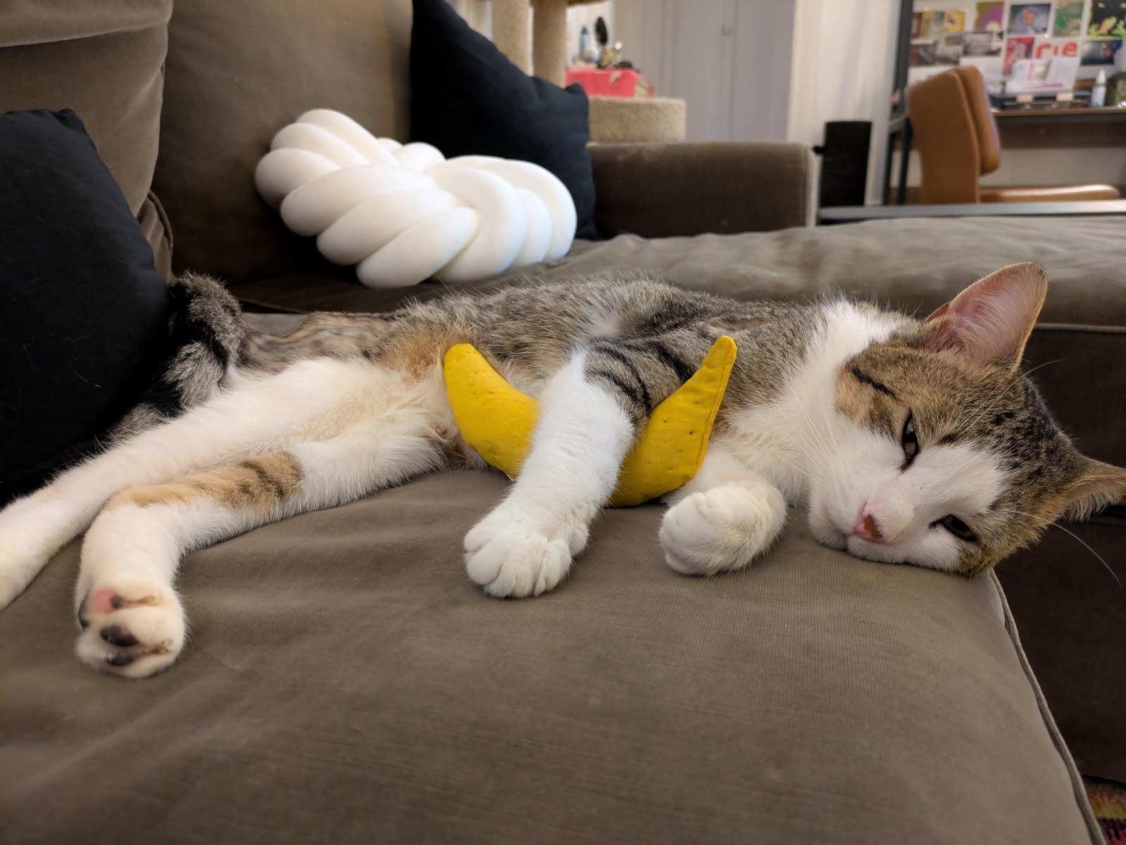 Manny N ~~ Cuddle thumbnail 4