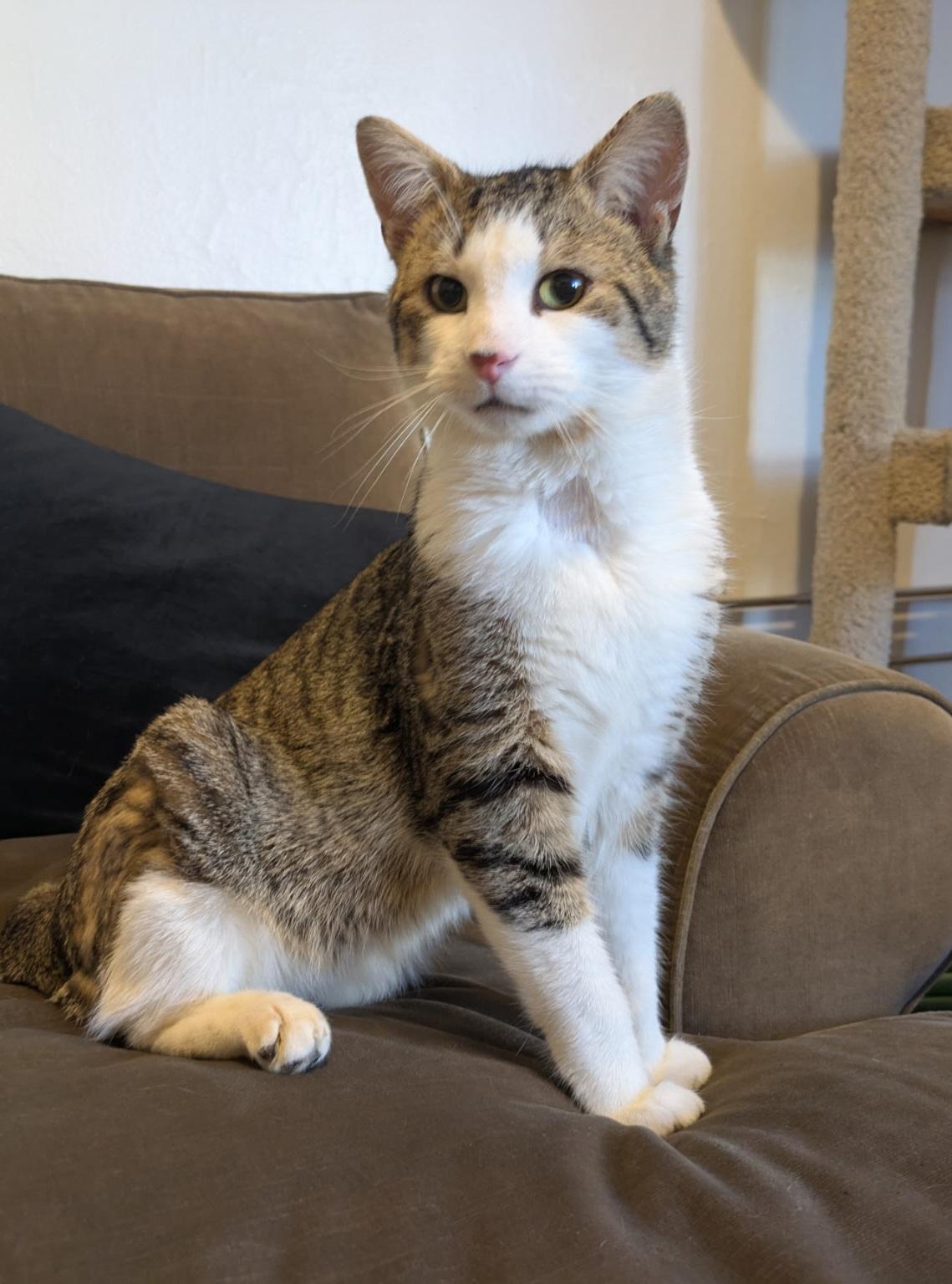 Manny N ~~ Cuddle thumbnail 5