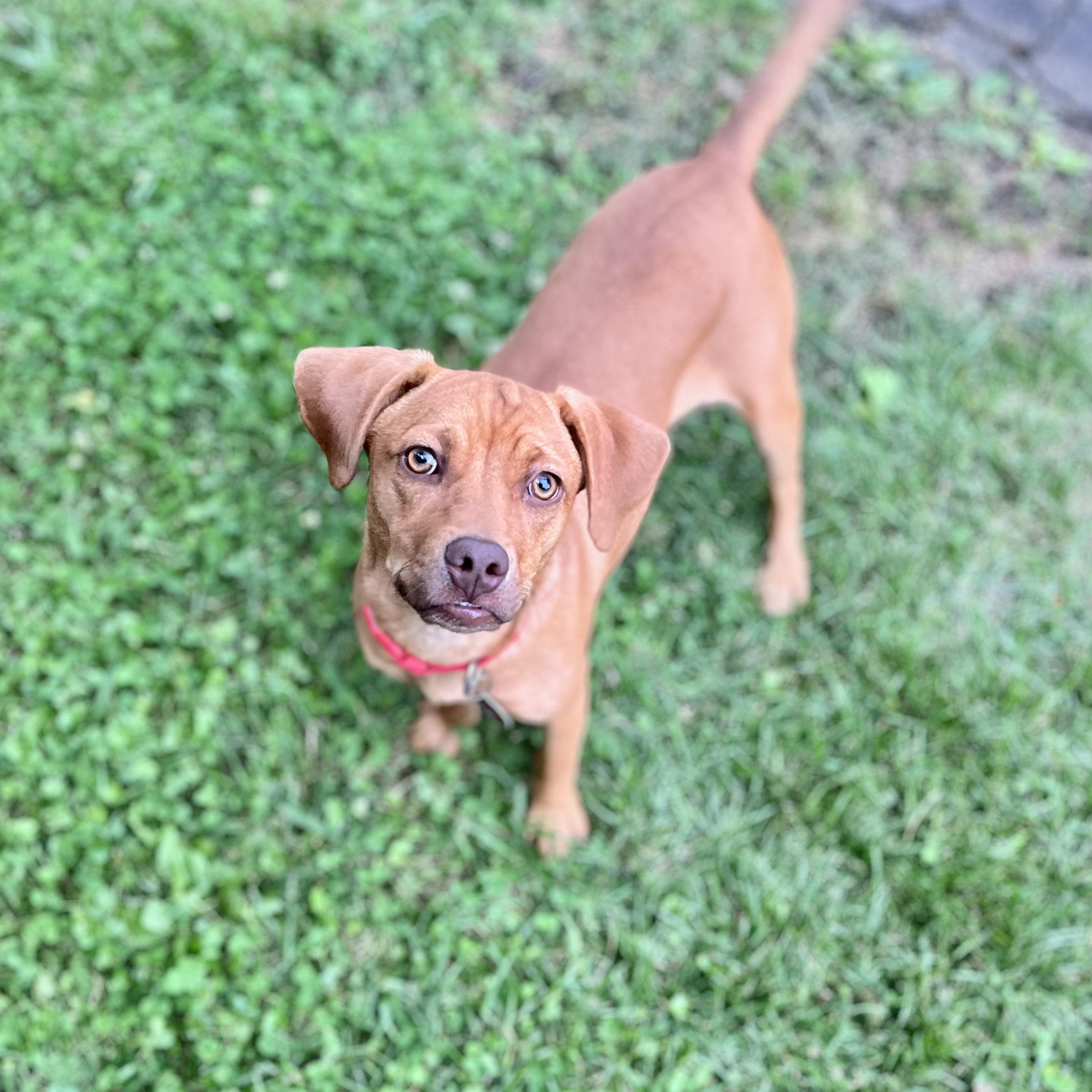 Hallie photo 5
