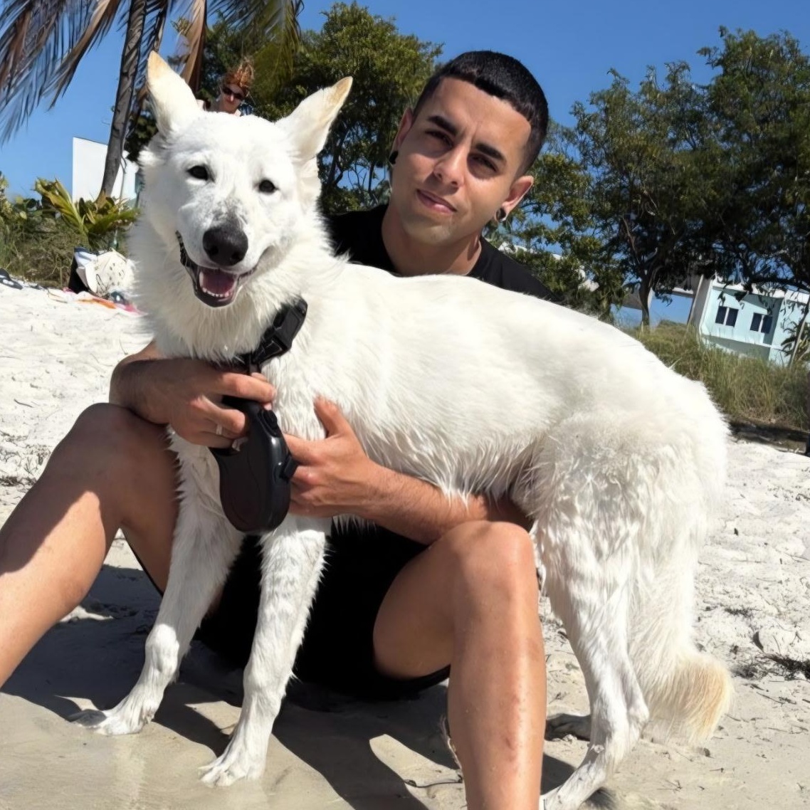 Maximo — thumbnail 4