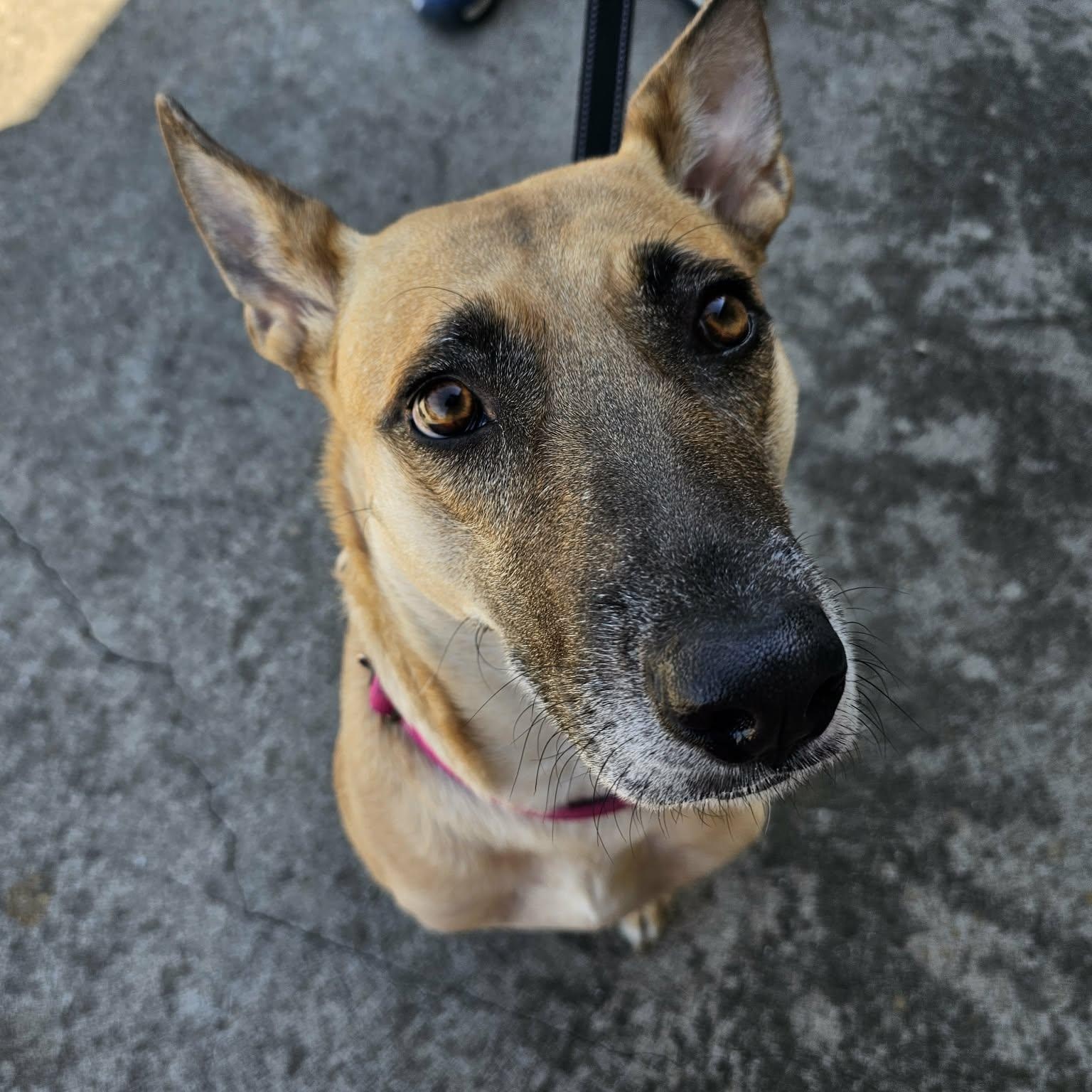 Vicky - The Best Hugger — thumbnail 5