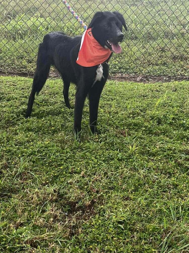 Remy — thumbnail 3