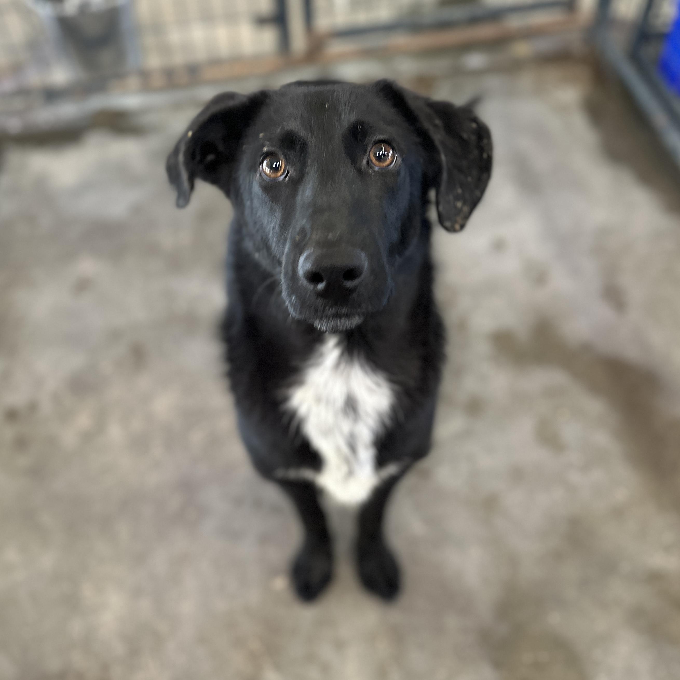 Cole — thumbnail 3