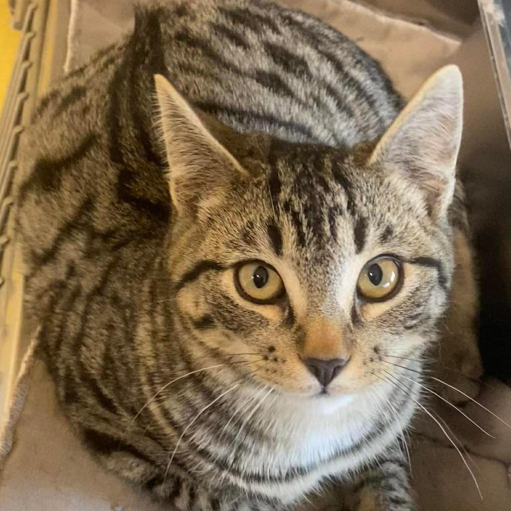 Skating — thumbnail 2