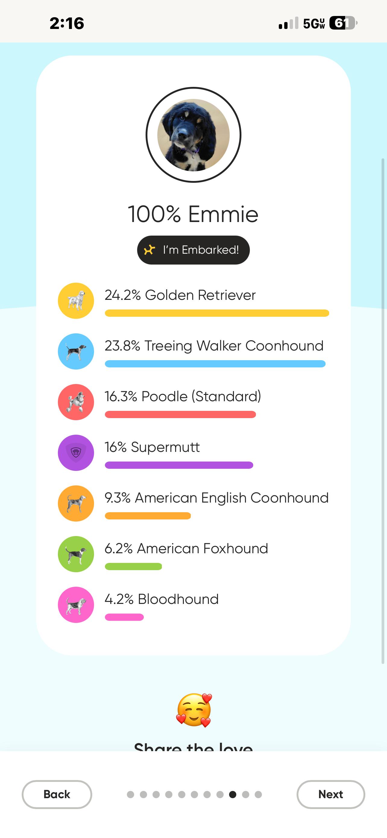 Ellie, Adopted, Puppy Female Golden Retriever & Standard Poodle.