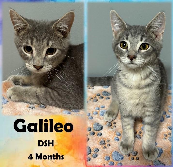 Galileo