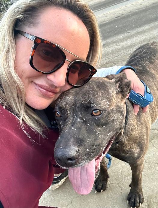 EMMA, a Adoptable Pit Bull Terrier in Thousand Oaks, CA image 3/6