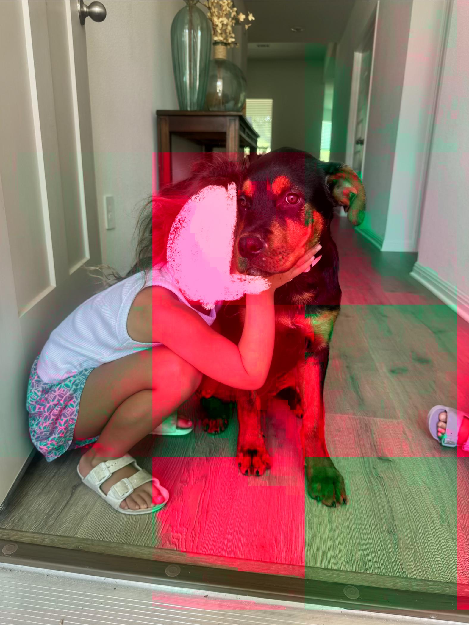 Enlarge Hazel, an adopted mixed breed in Dale, TX image 3/4