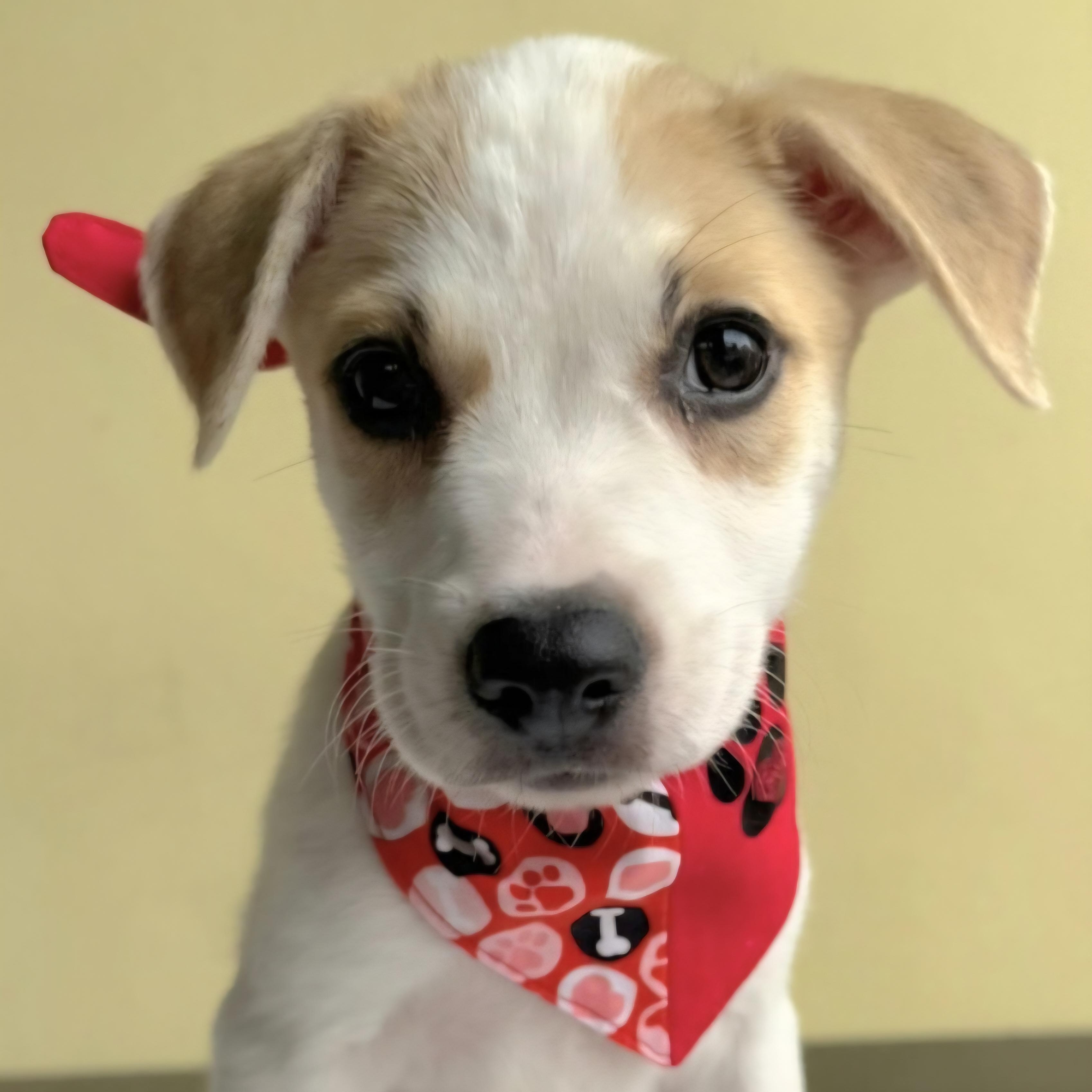 Romina Bobina "very Loving!