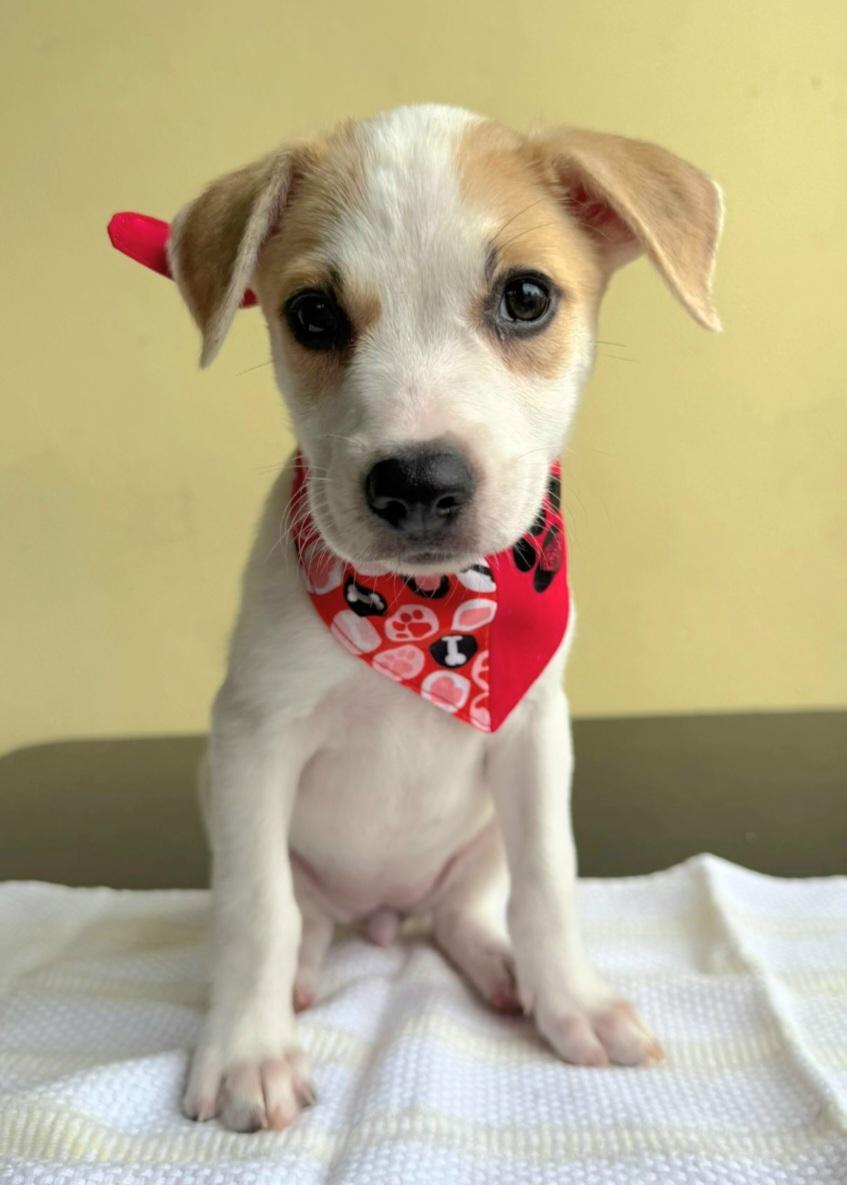 Romina Bobina "very Loving! thumbnail 2