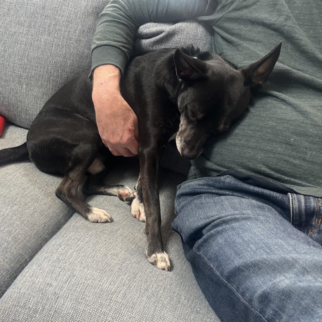 Jackson — thumbnail 2