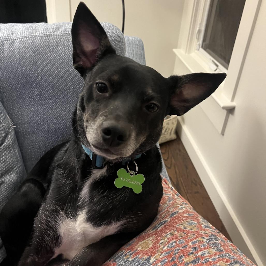 Jackson — thumbnail 3