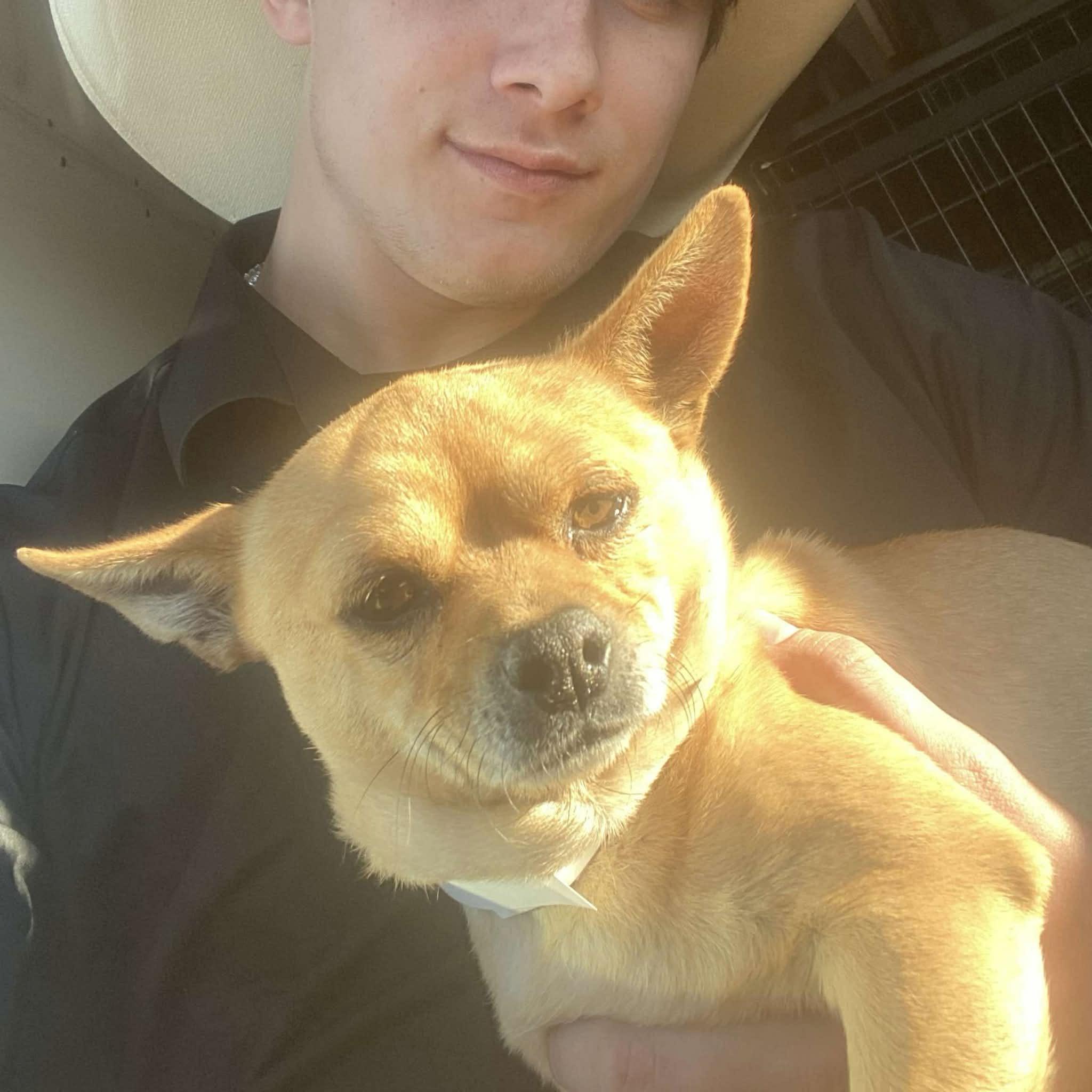 Kyle, a ADOPTABLE mixed breed in Boulder, CO image 2/4