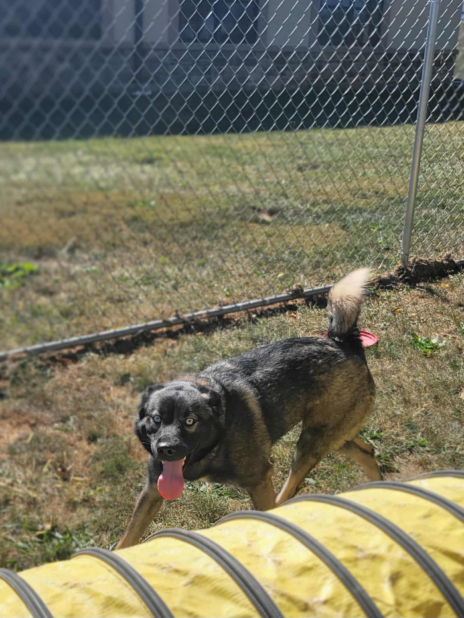 Xena