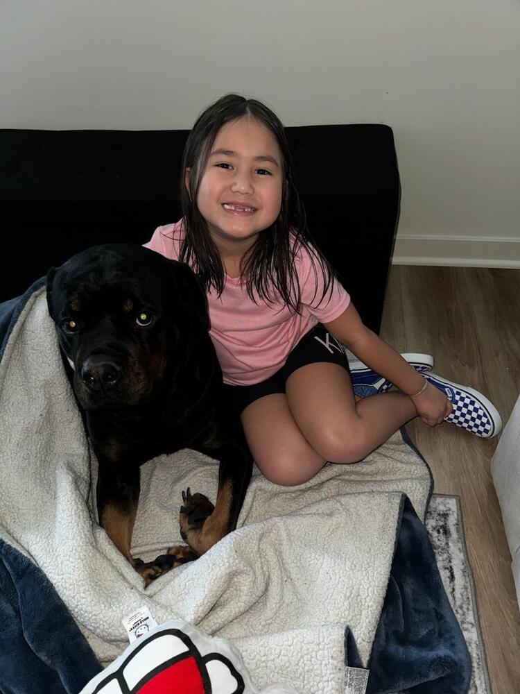 Kona, a Adoptable Rottweiler image 3/5