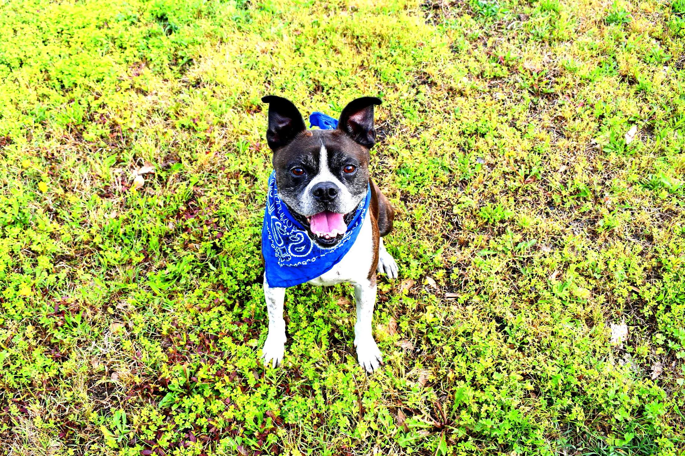 Buddy photo 3