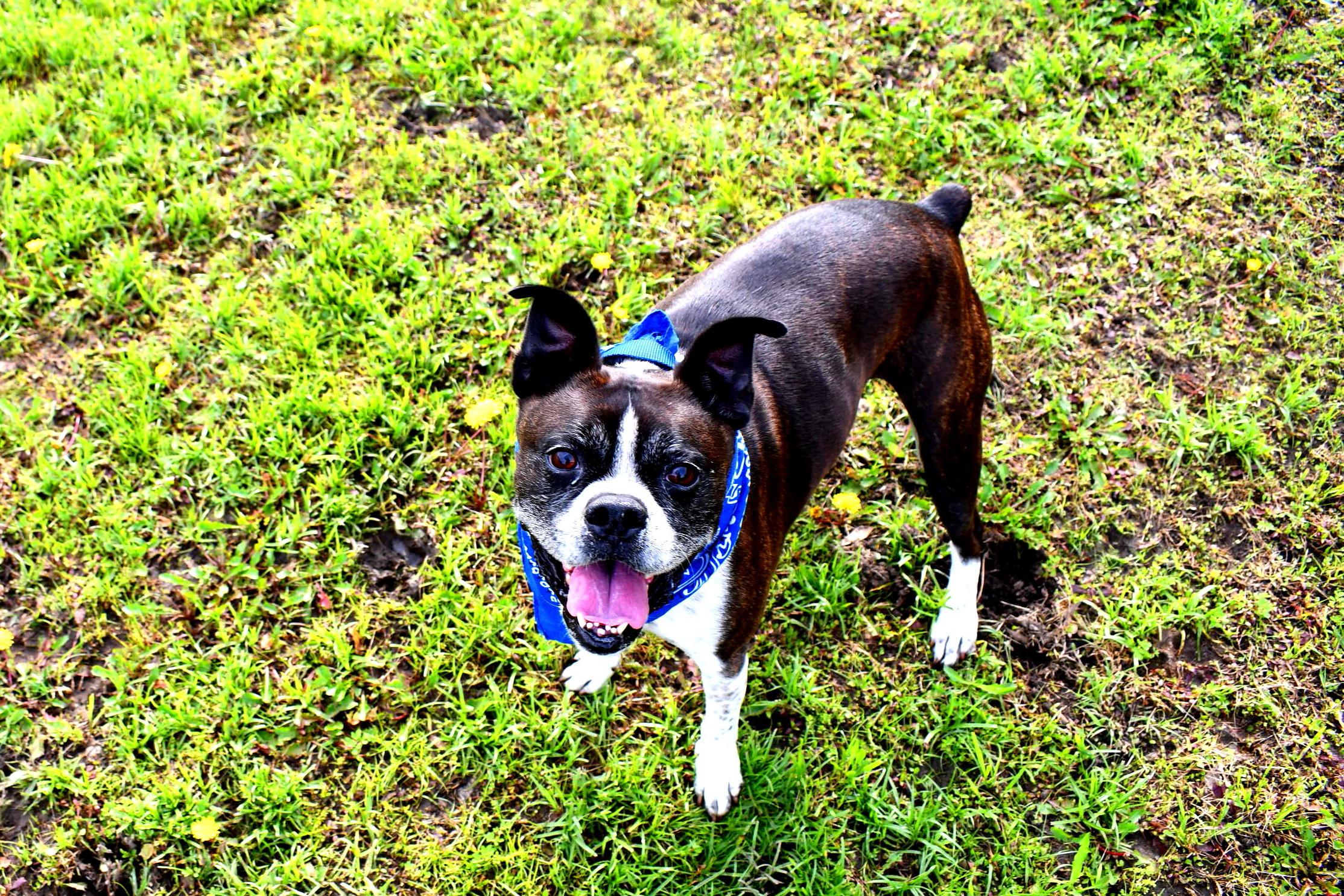Buddy photo 2