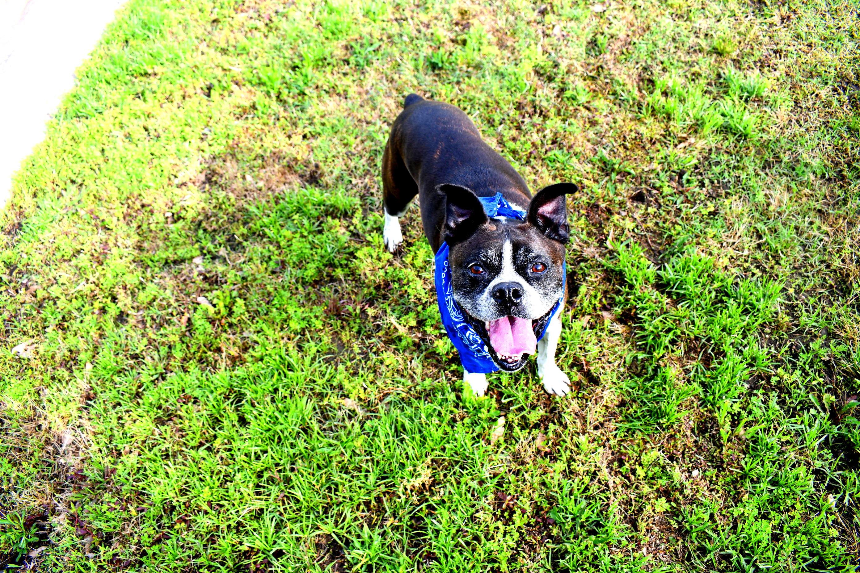 Buddy photo 5