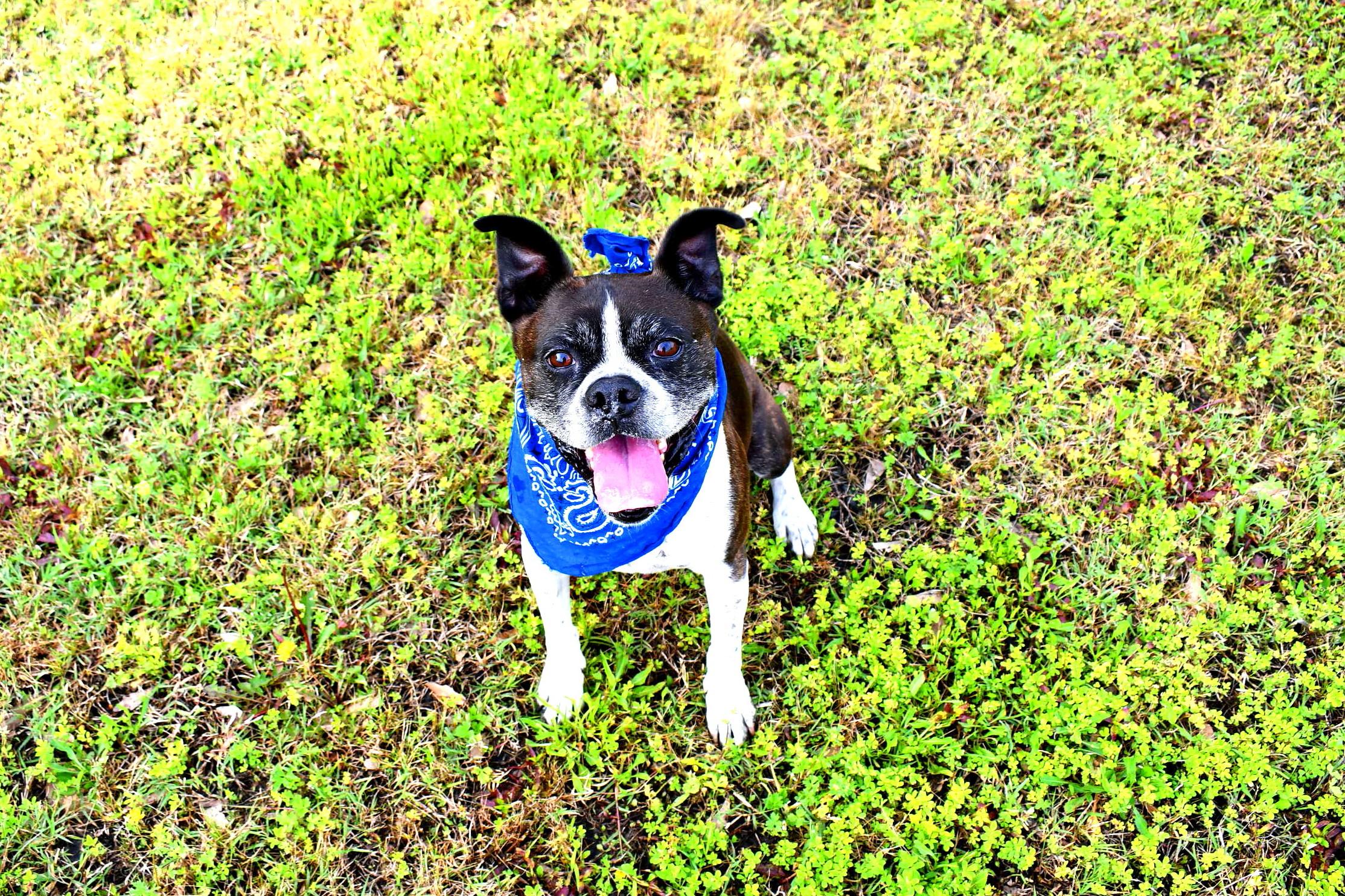 Buddy photo 6