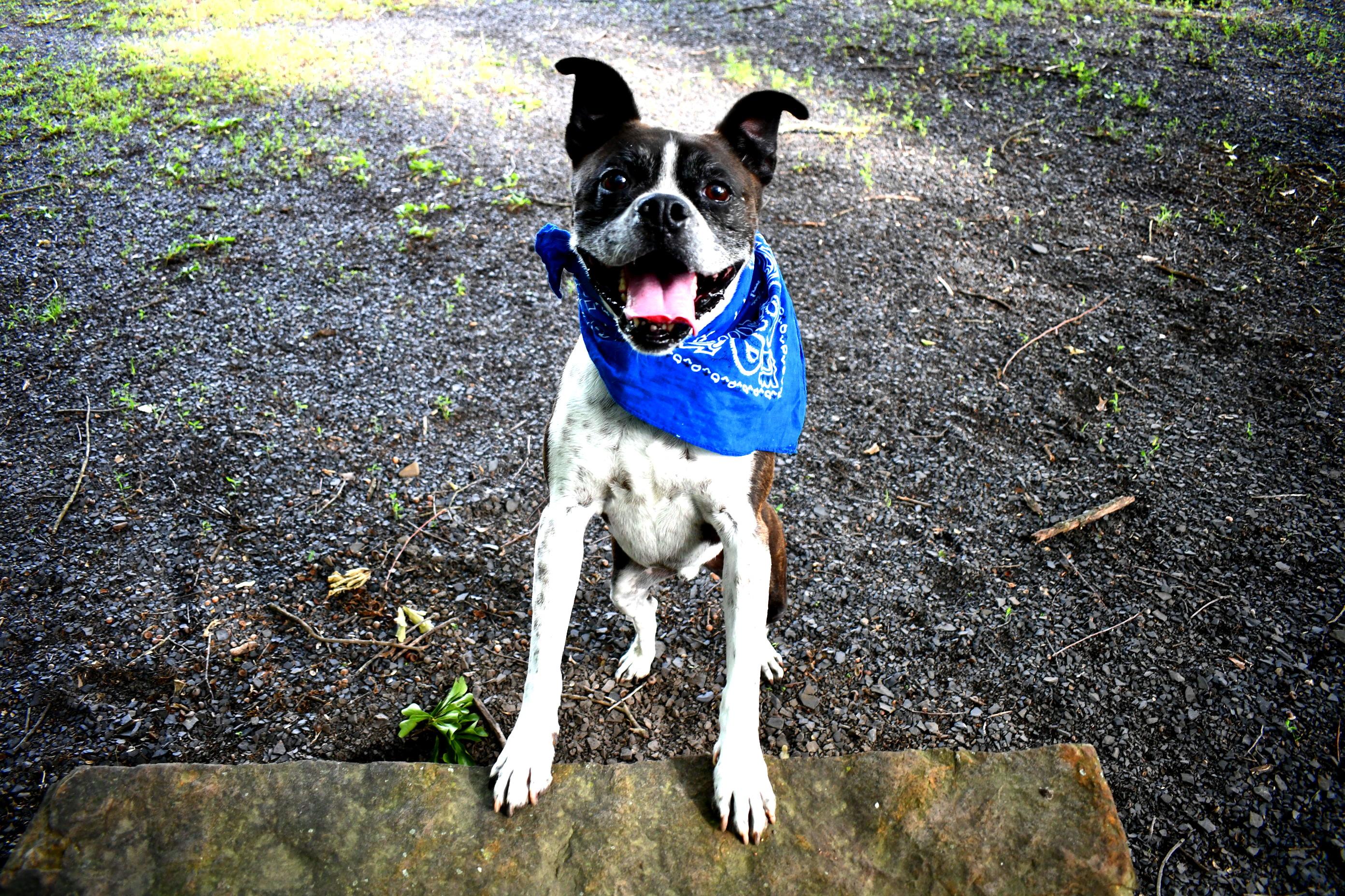 Buddy photo 4